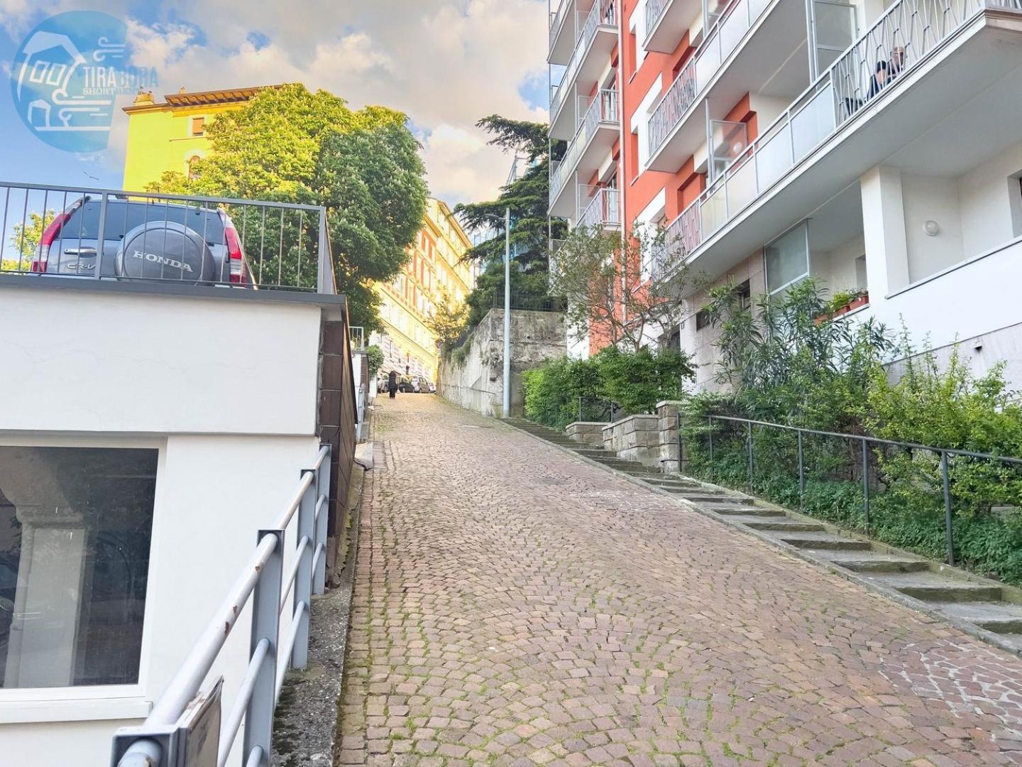 Cappello 9 Tirabora Short Rent view 4
