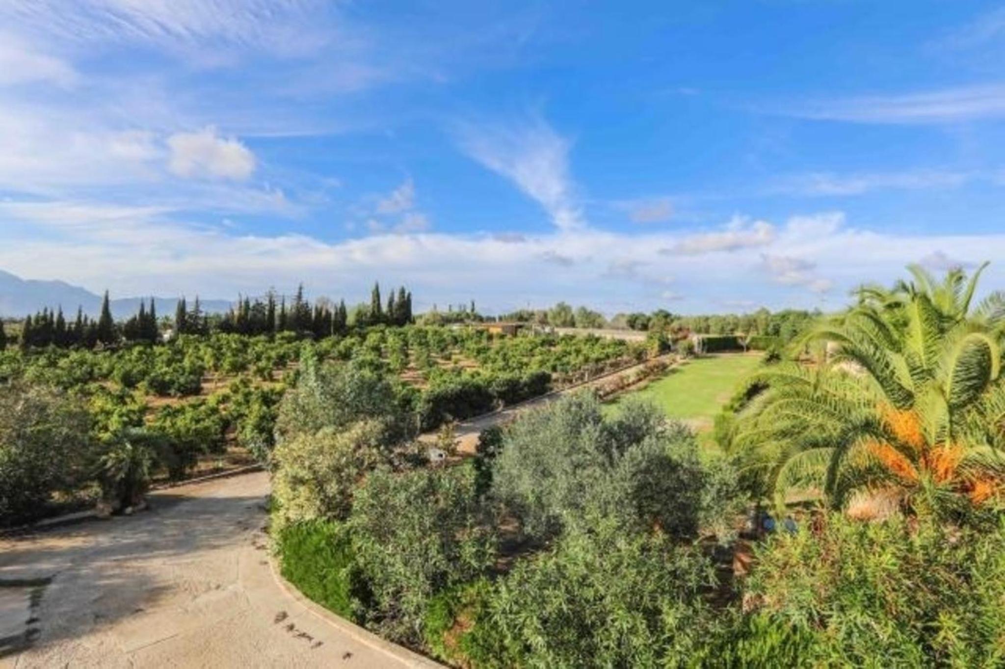 Ferienhaus mit Privatpool für 6 Personen ca 150 qm in Muro, Mallorca Nordküste von Mallorca view 4