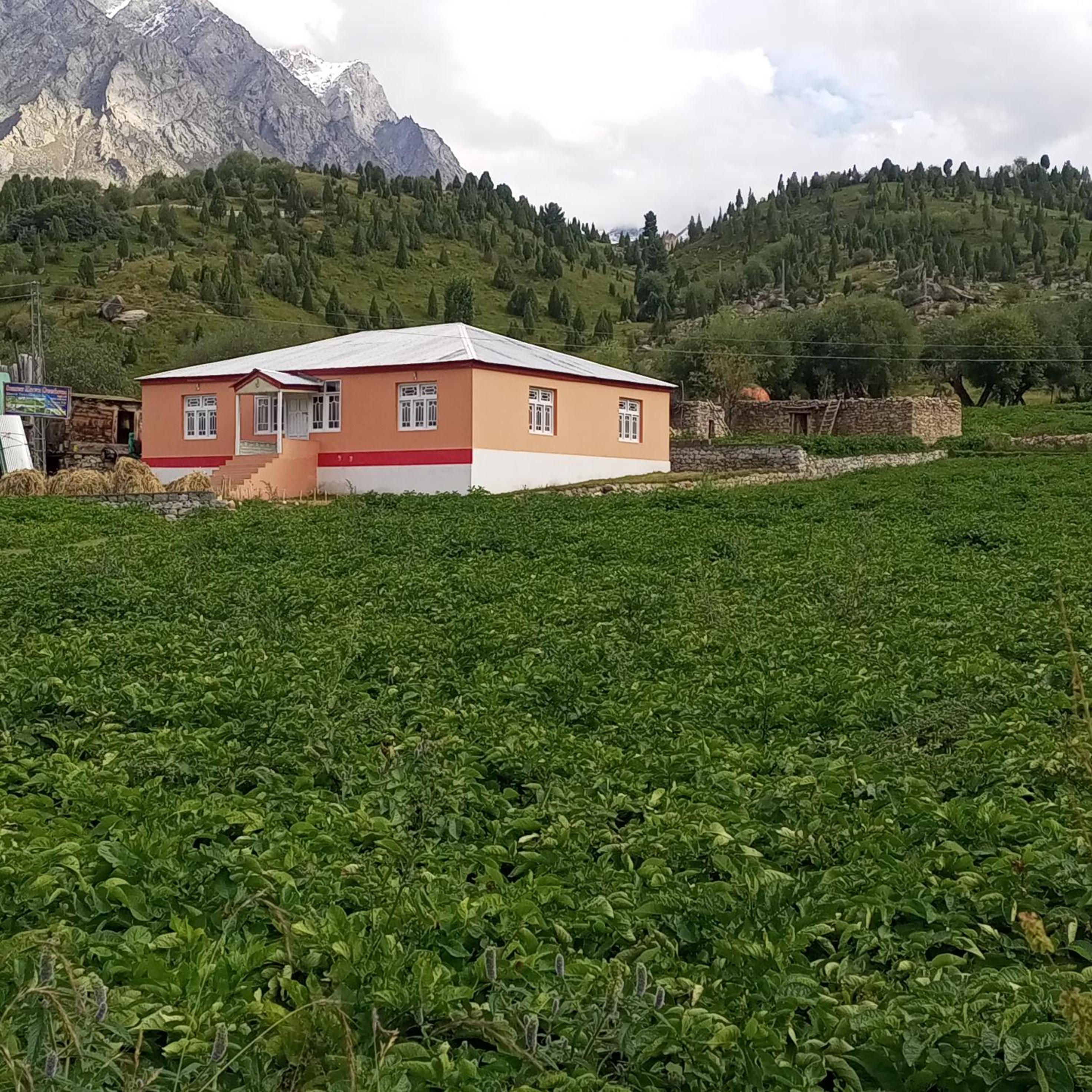 Summer Heaven Guesthouse view 4