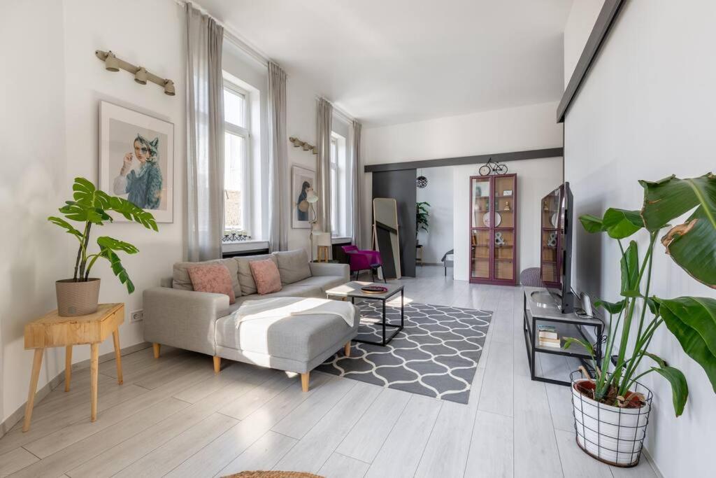 Quaint and Cozy 2-BR Home in the City Center view 3