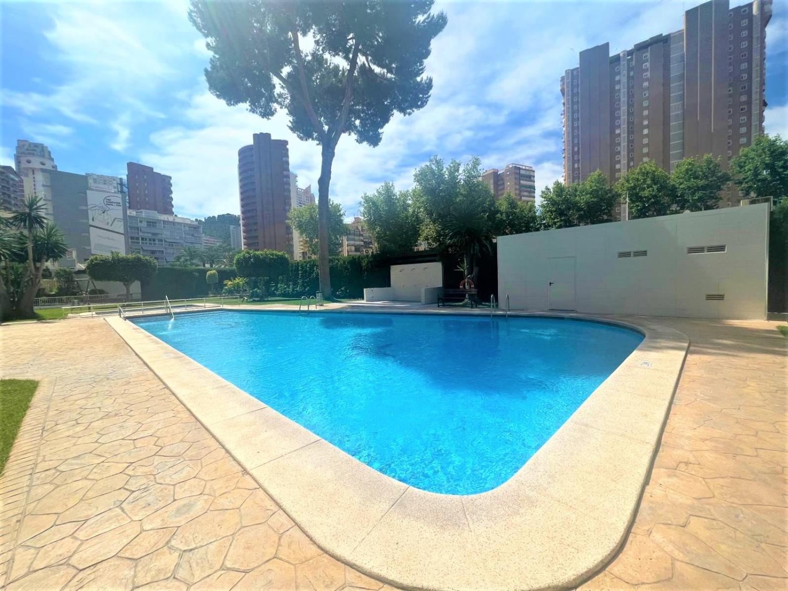 Albatros luxury ground floor