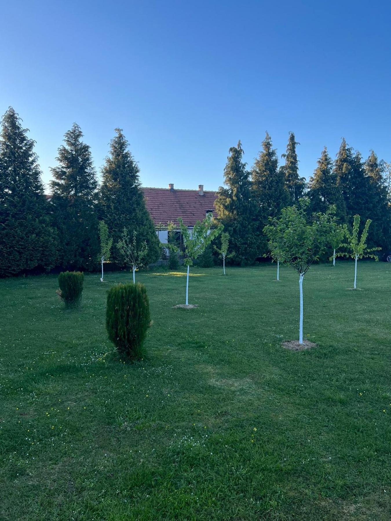 Apartments & Camp Stanišić view 4
