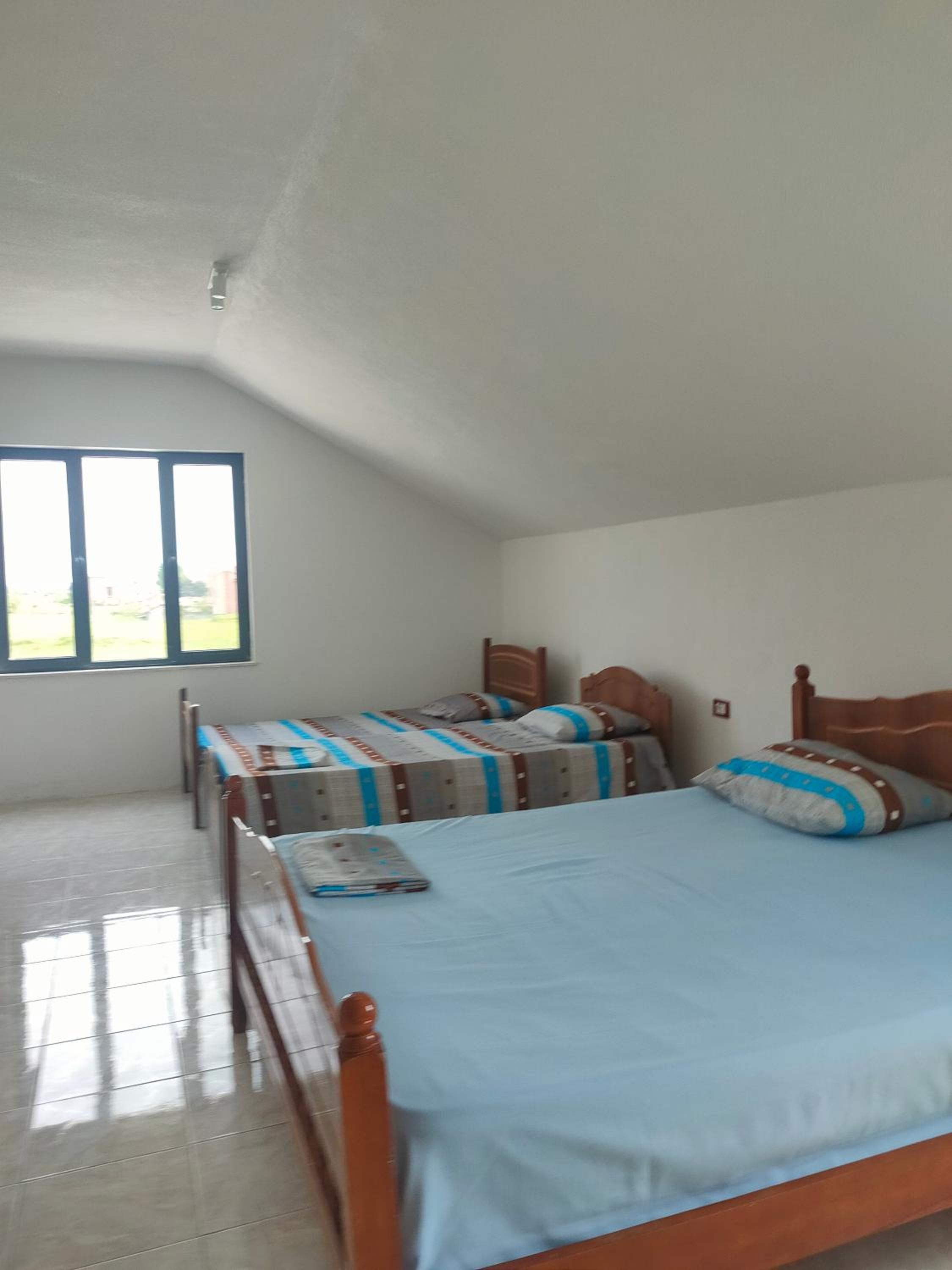 Apartament Timi