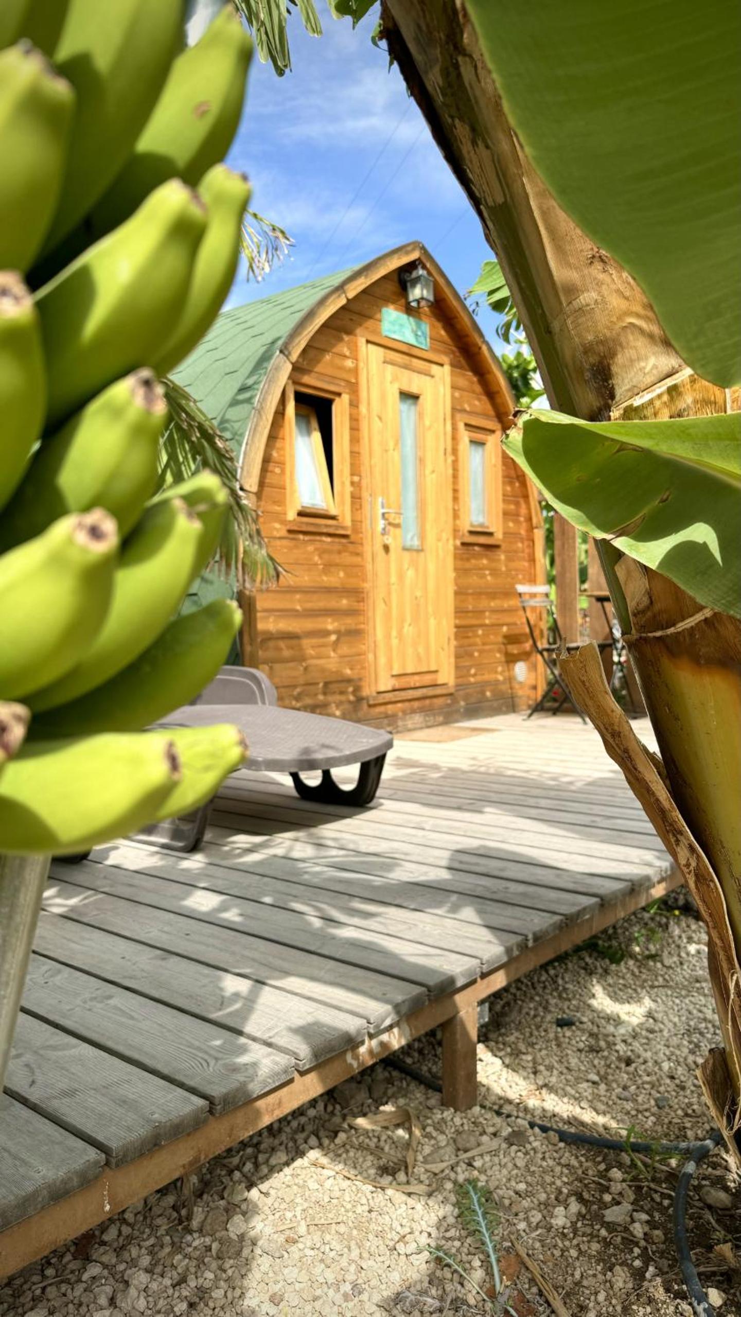 Lykke Suite Spa Piscina y Jardín by Deihu Experiences