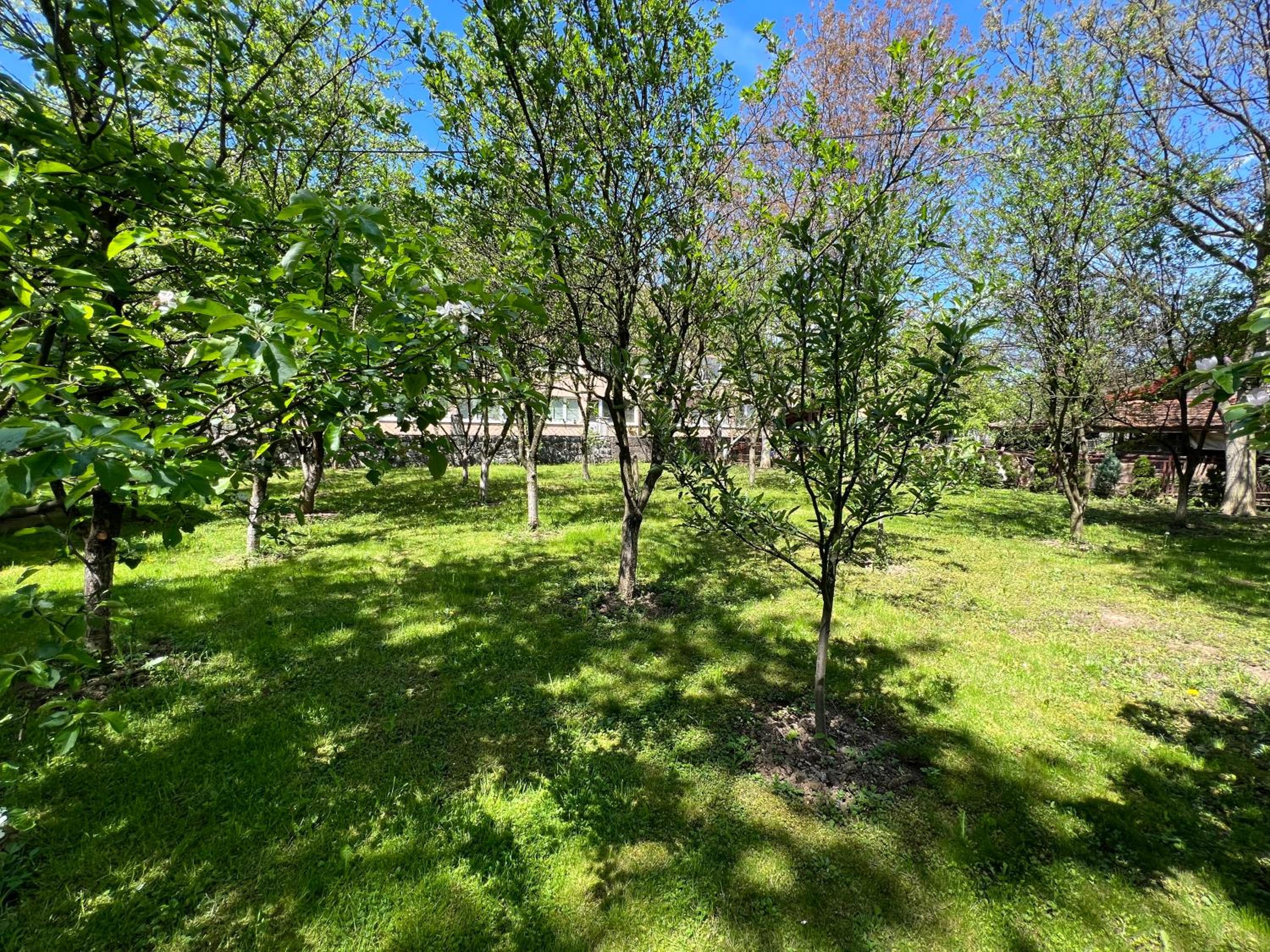 Villas by Expert Vrelo Bosne