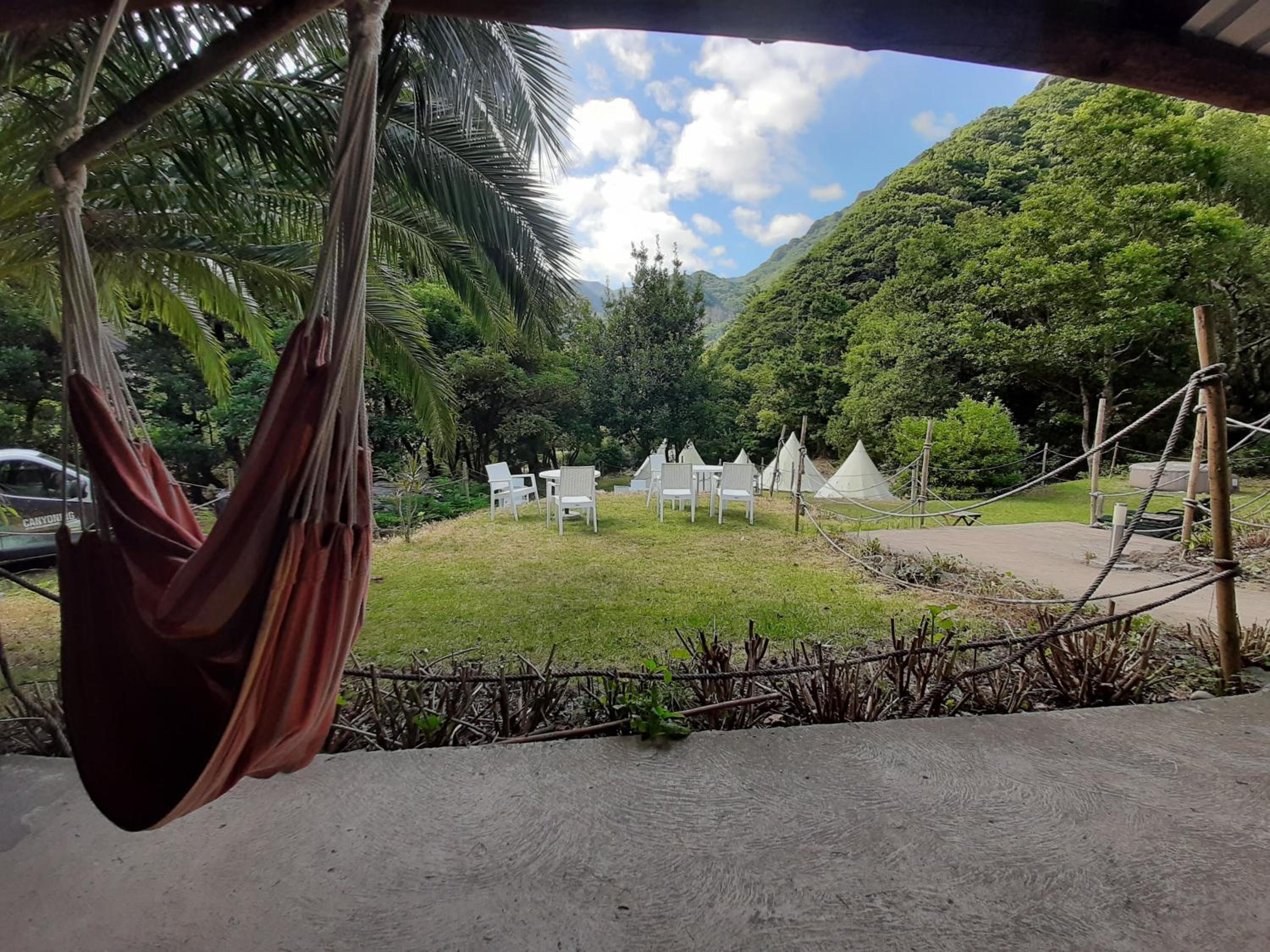 Nature Retreat - Laurel Forest