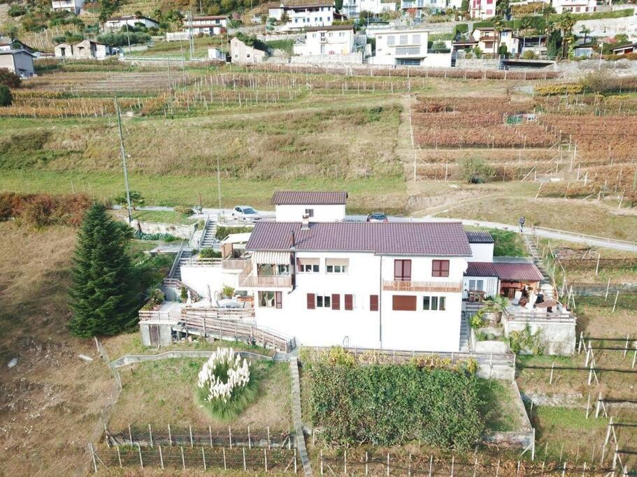 4-Zi-WG Casa Sogno - Valle mit Kamin. Alleinlage im Rebberg!