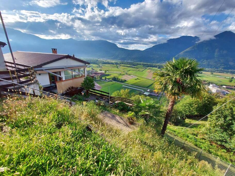 4-Zi-WG Casa Sogno - Valle mit Kamin. Alleinlage im Rebberg!