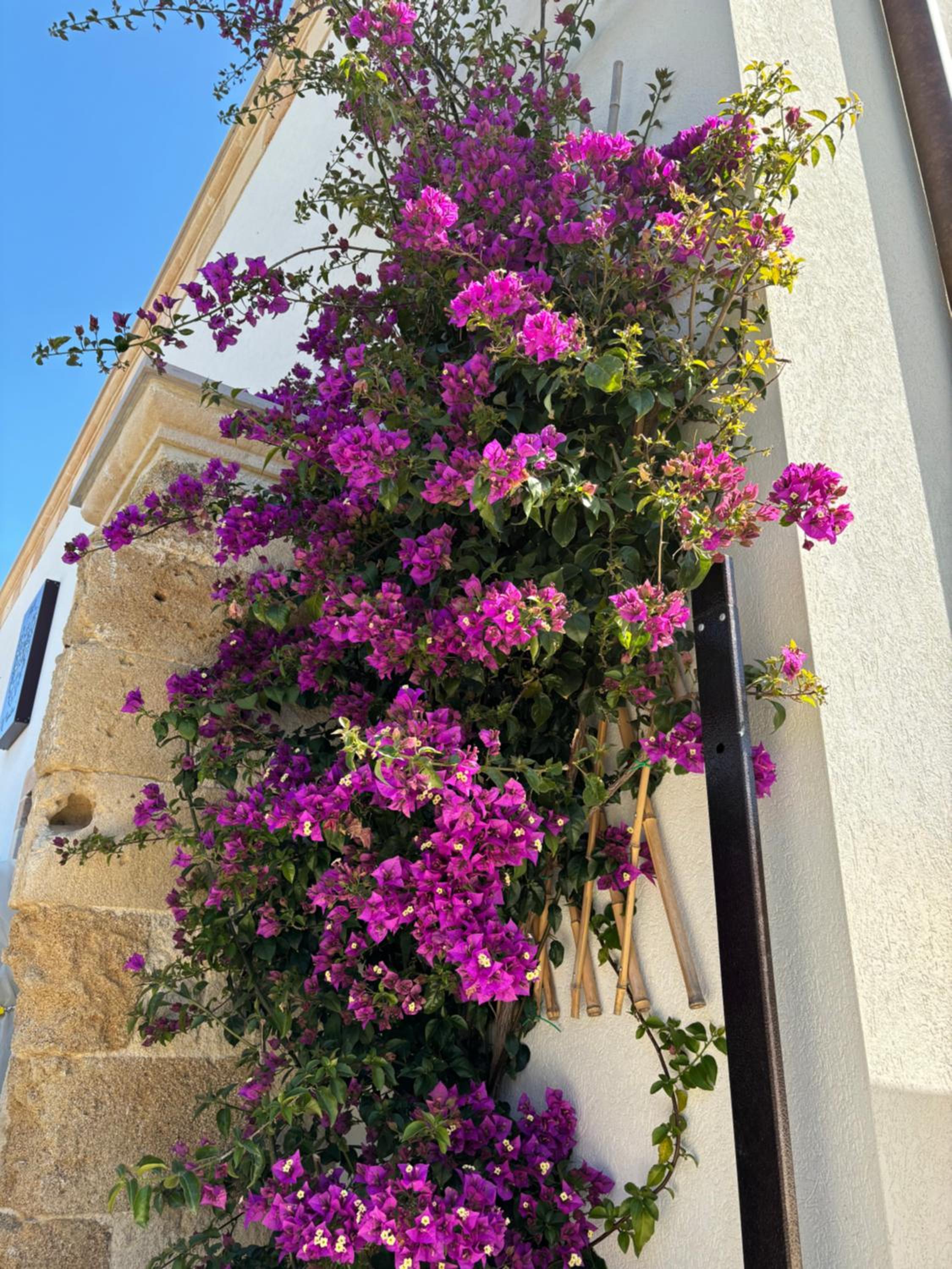 Il Casalino view 3