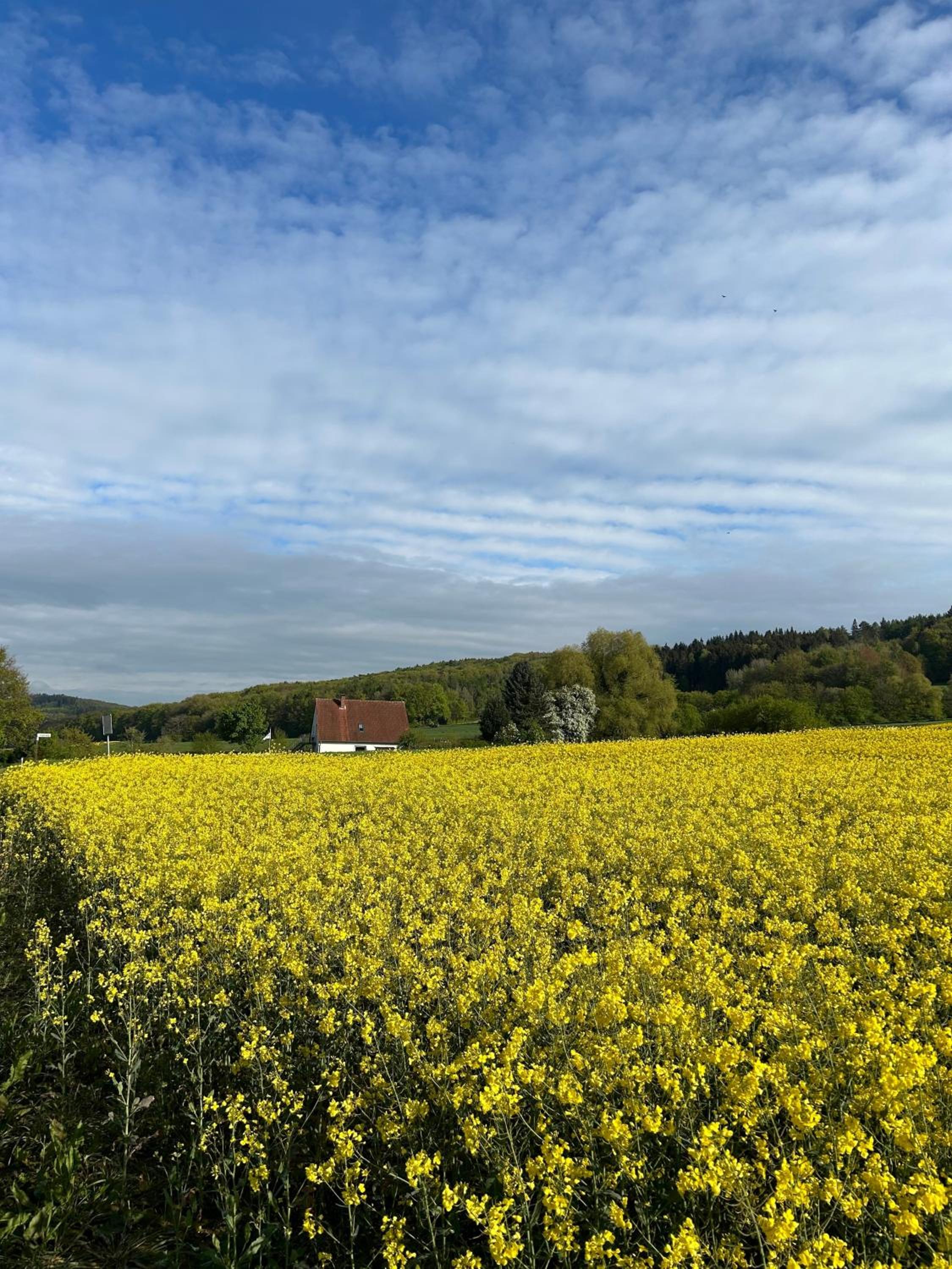 Fewo Kranich im Eggetal