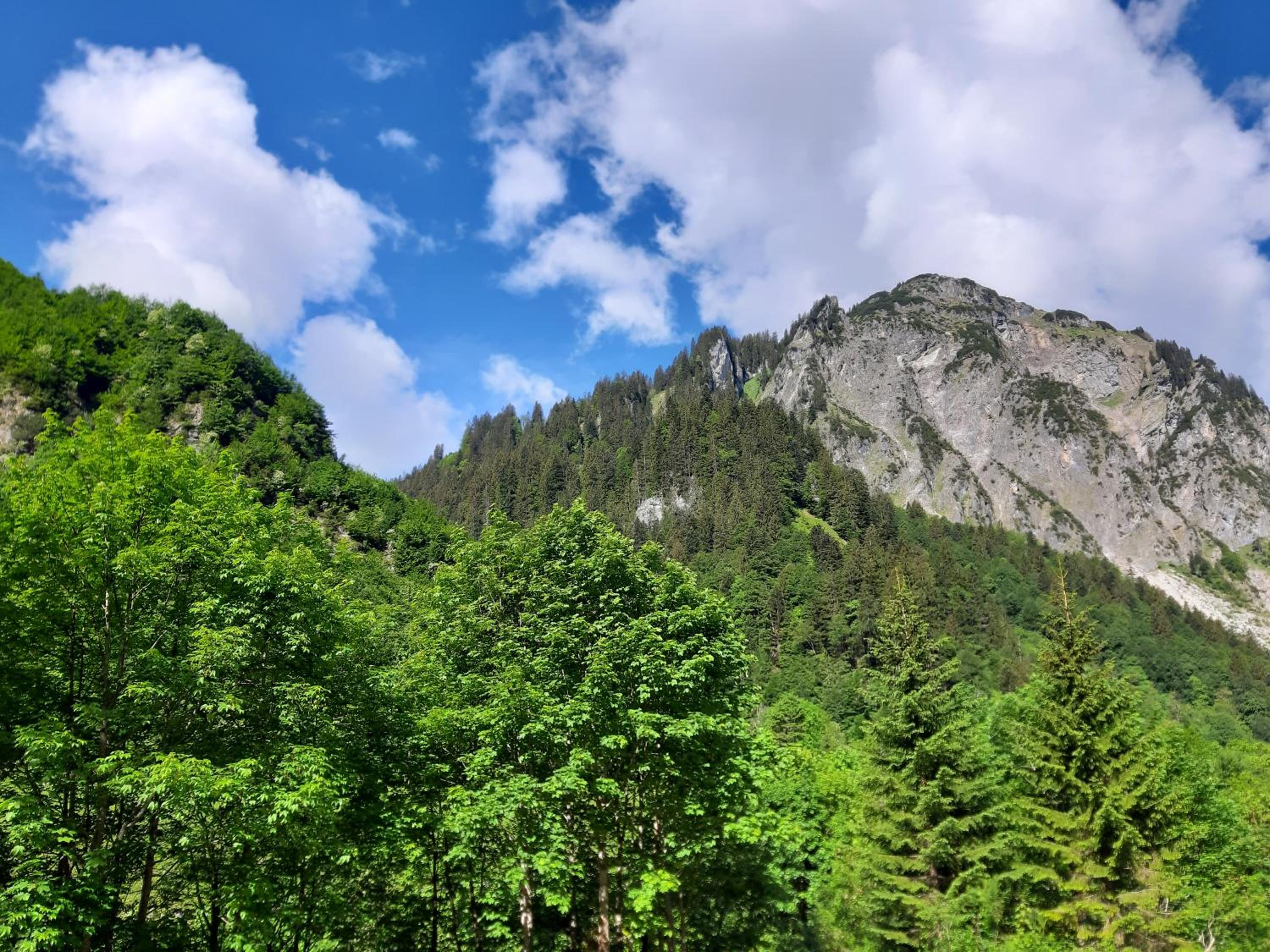 Berghof Ferienhaus