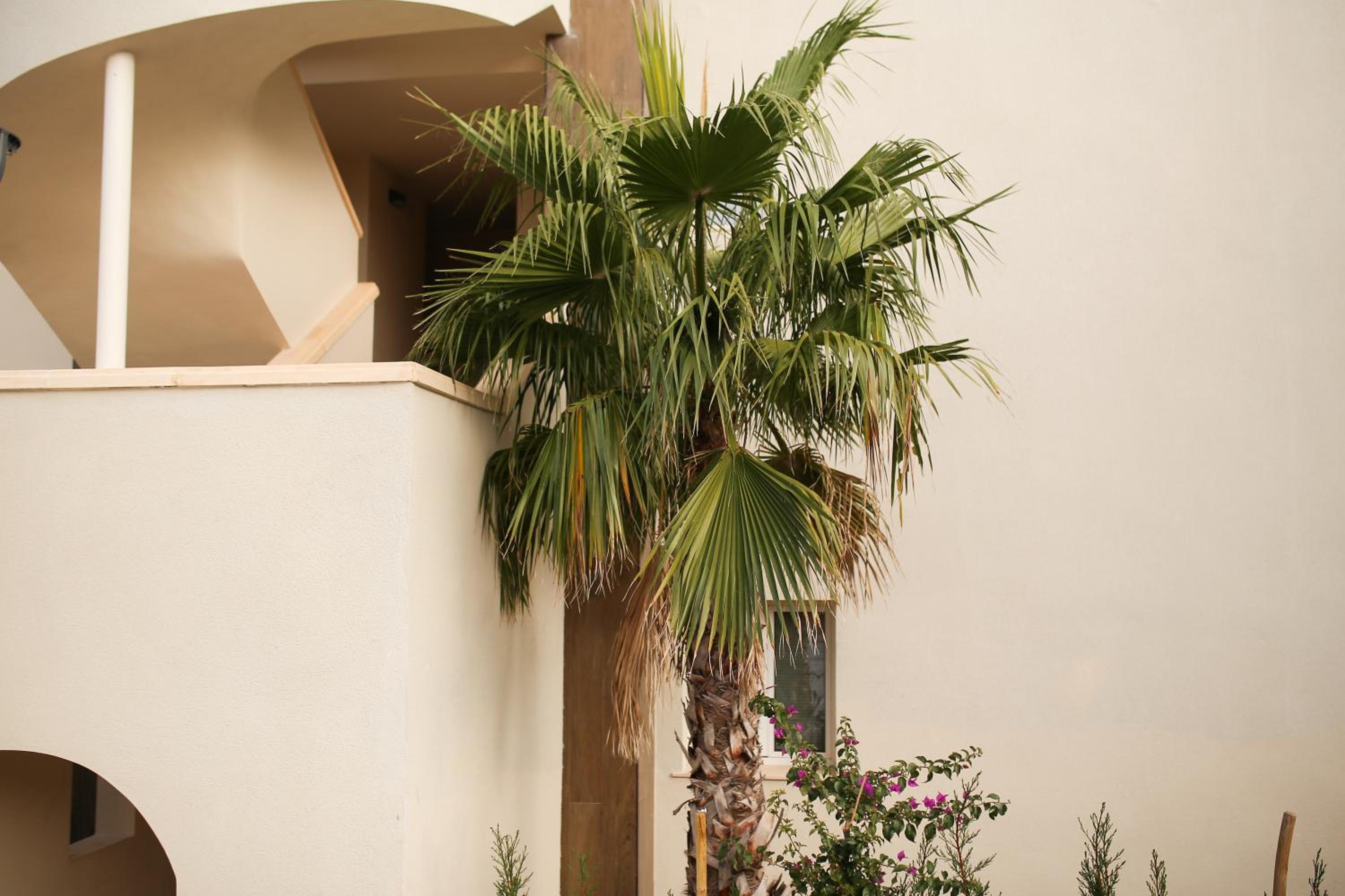 Modern flat with Montgo view