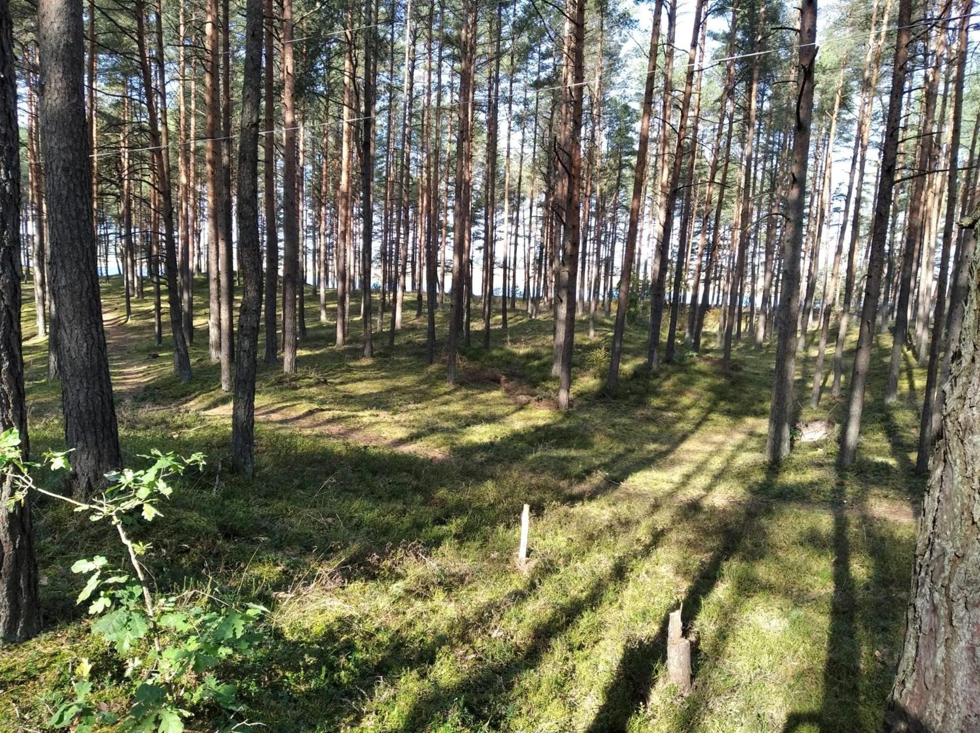 Photo 31