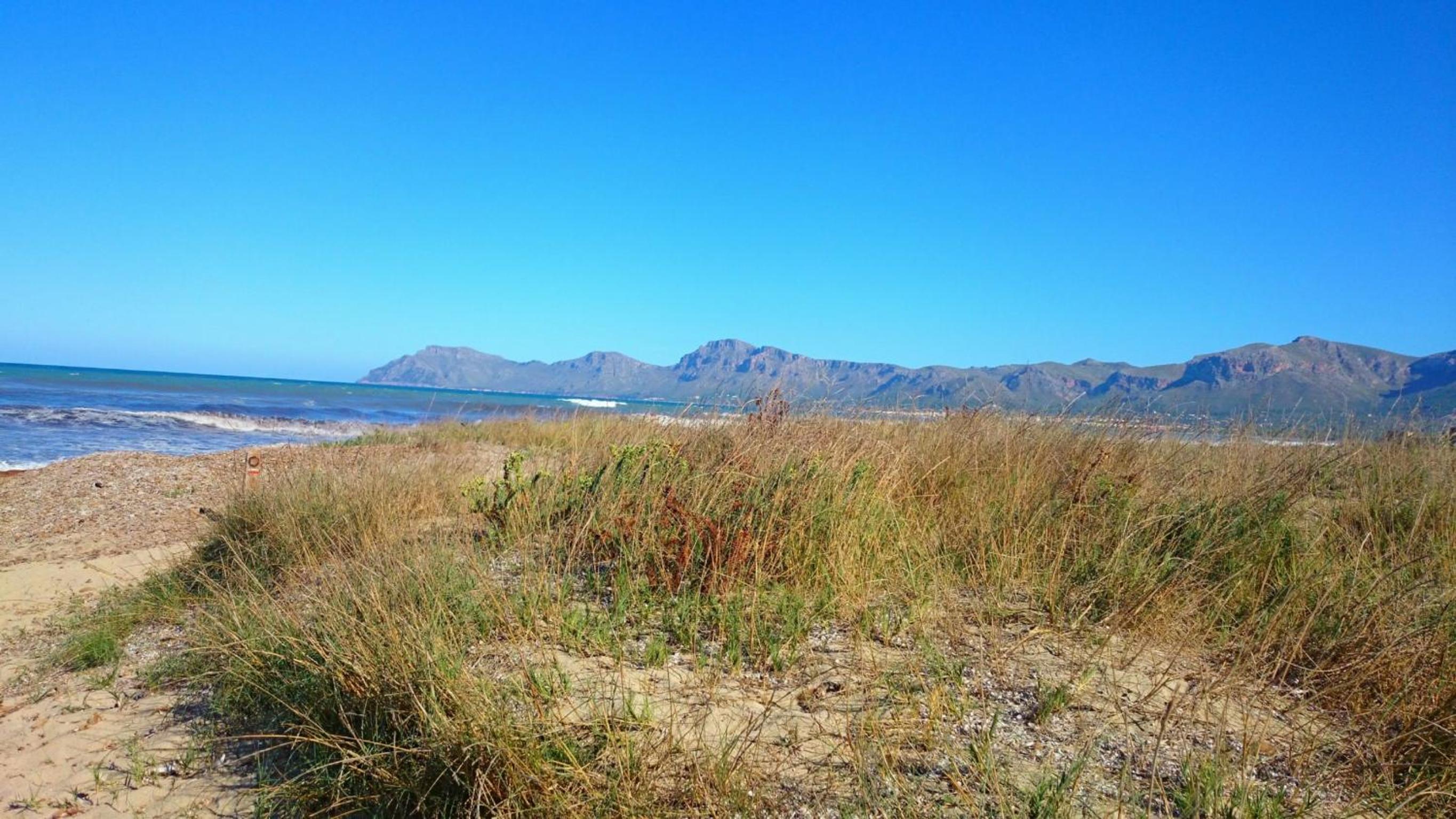 Sestanyol