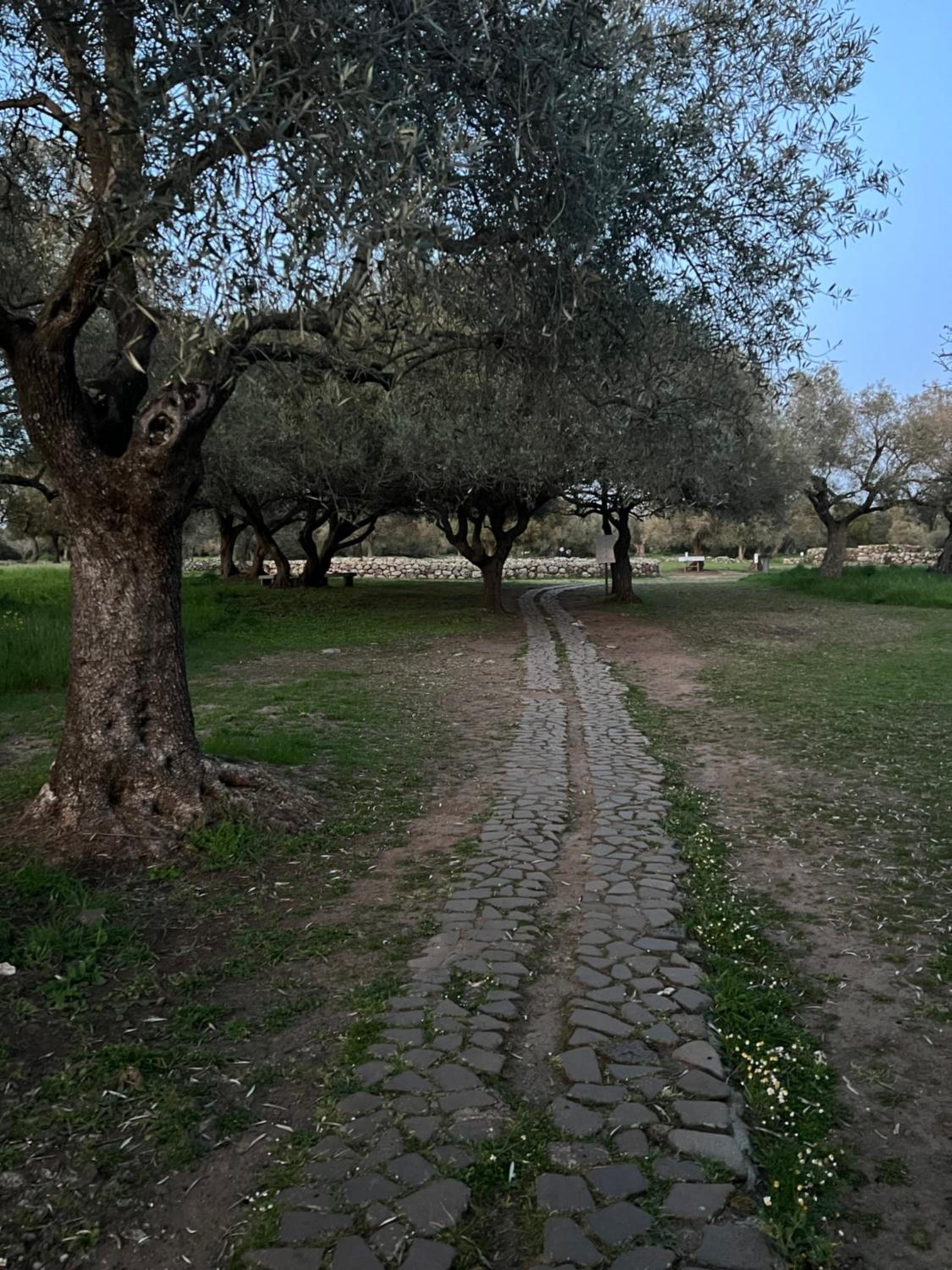 Muristene Pozzo Santa Cristina