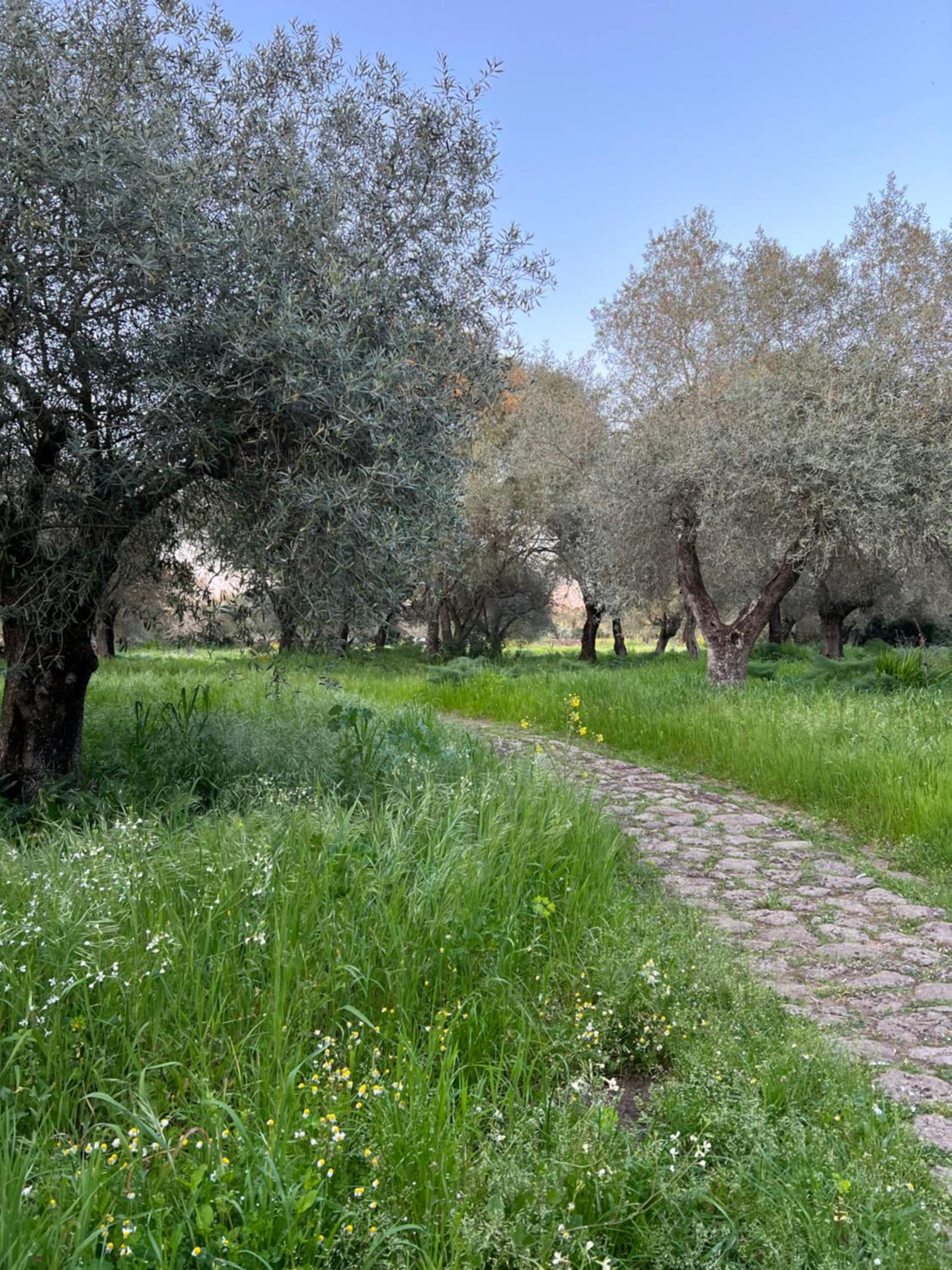 Muristene Pozzo Santa Cristina