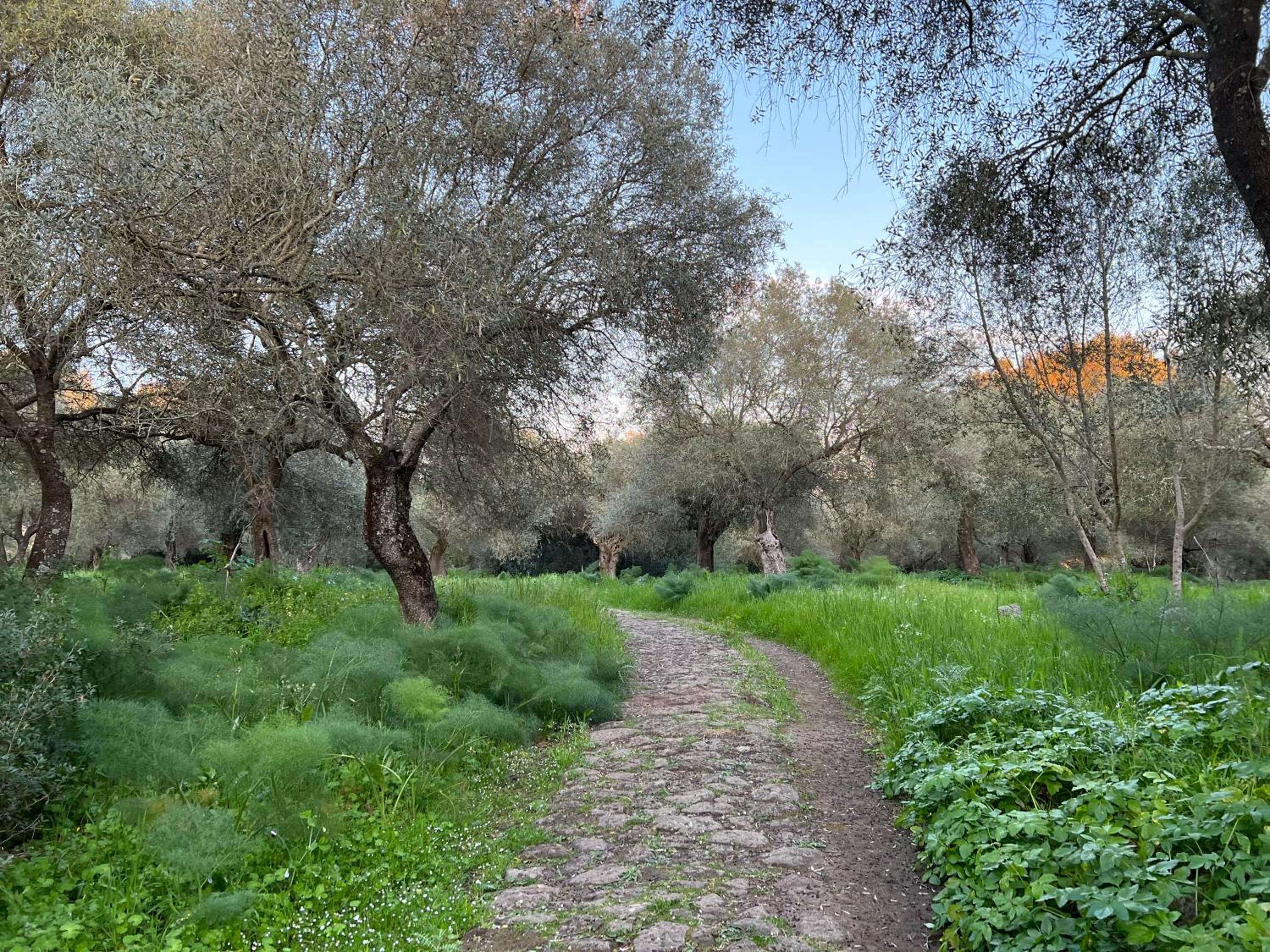 Muristene Pozzo Santa Cristina