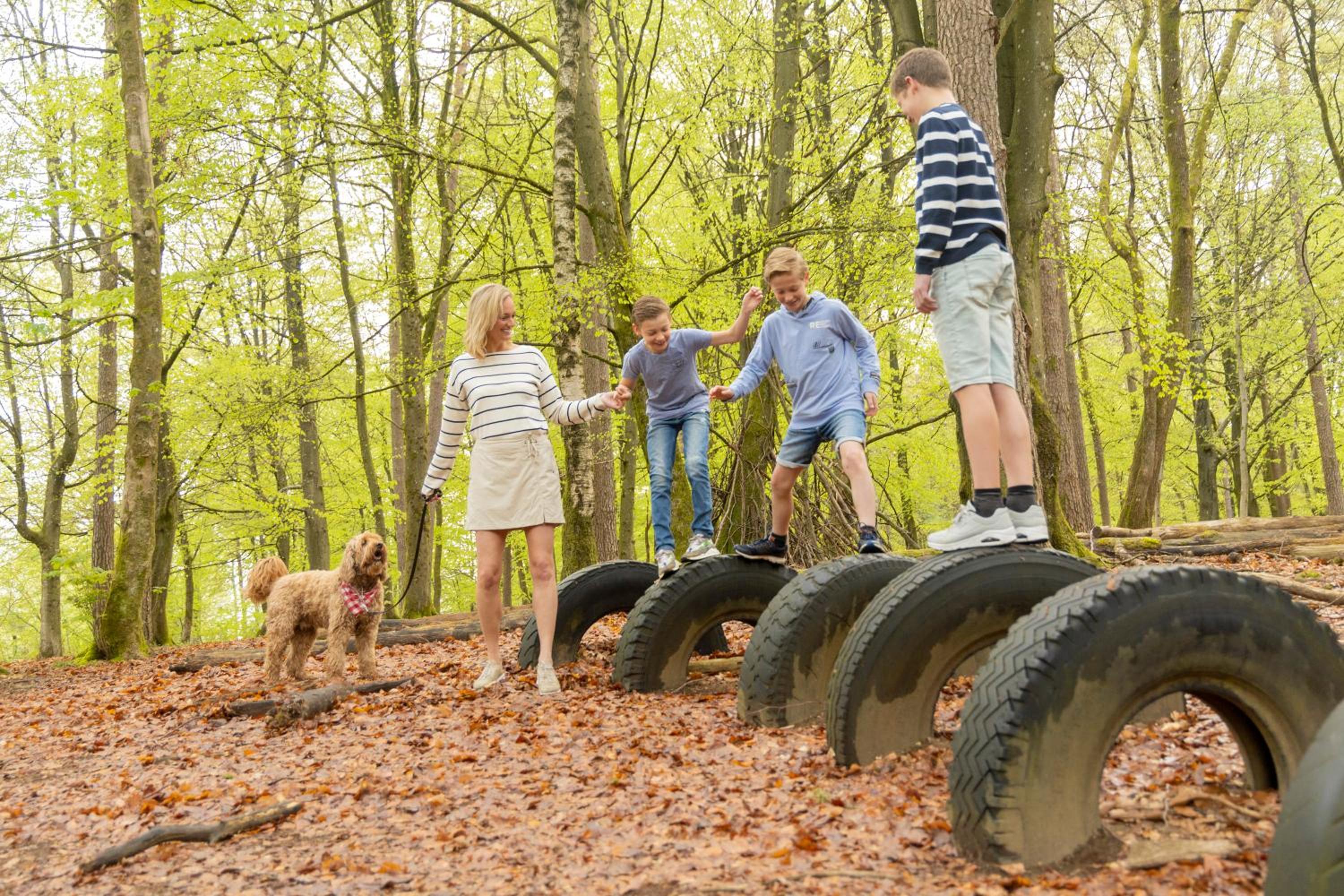 Ardennen Camping Bertrix, photo 18