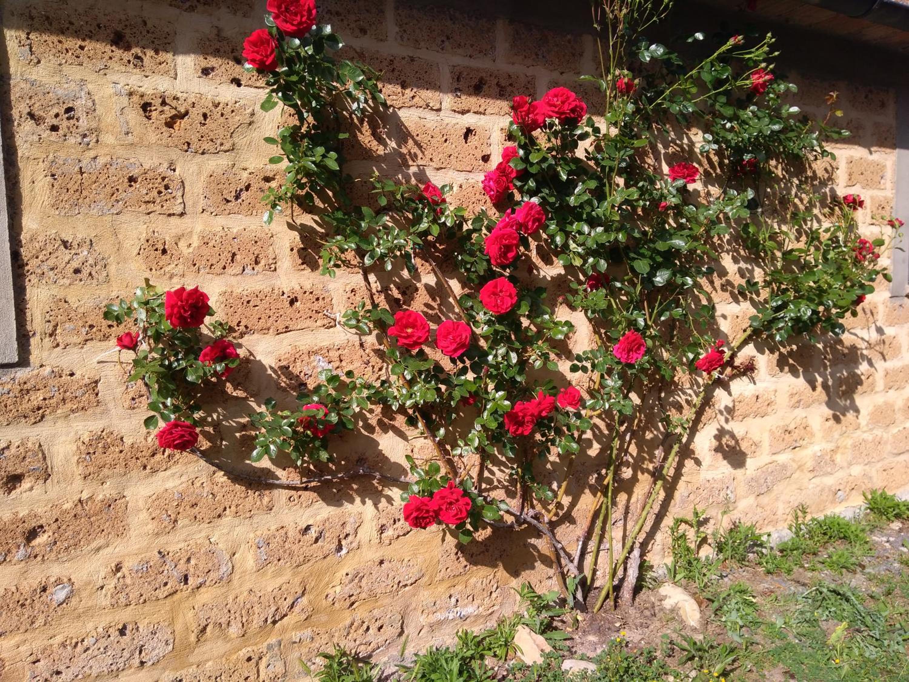 Agriturismo Sant'Angelo