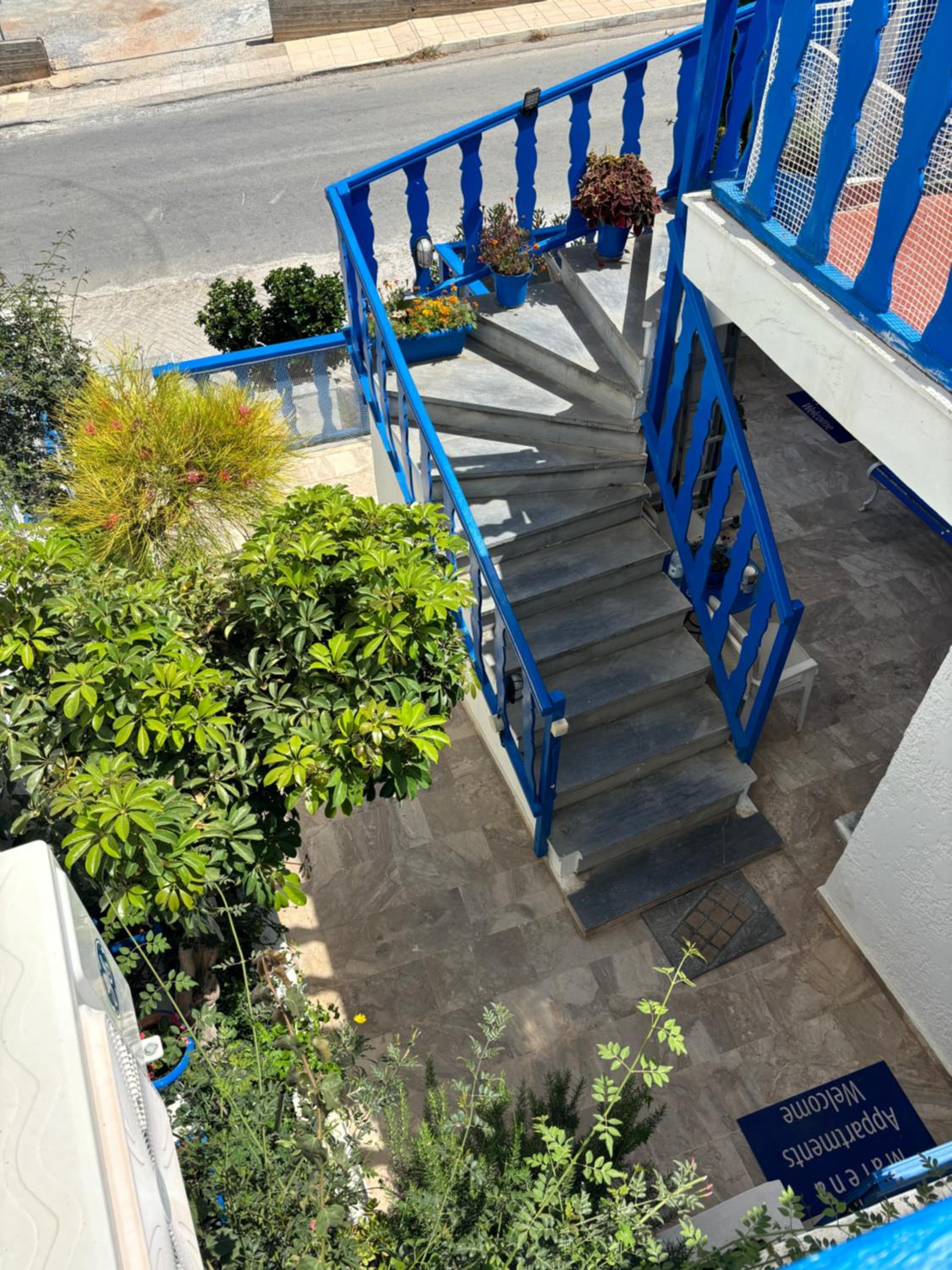 Marena 2 photo 5