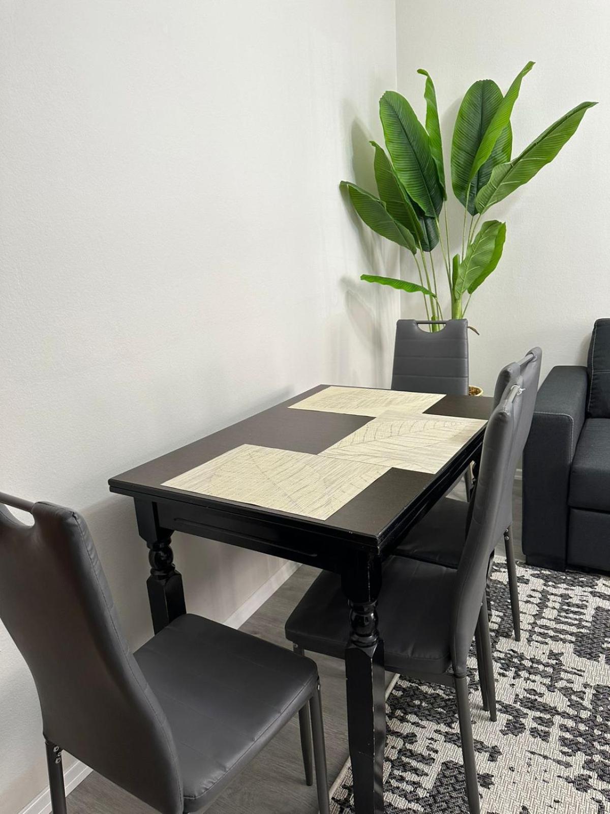 Just renovated apartment in the city center
