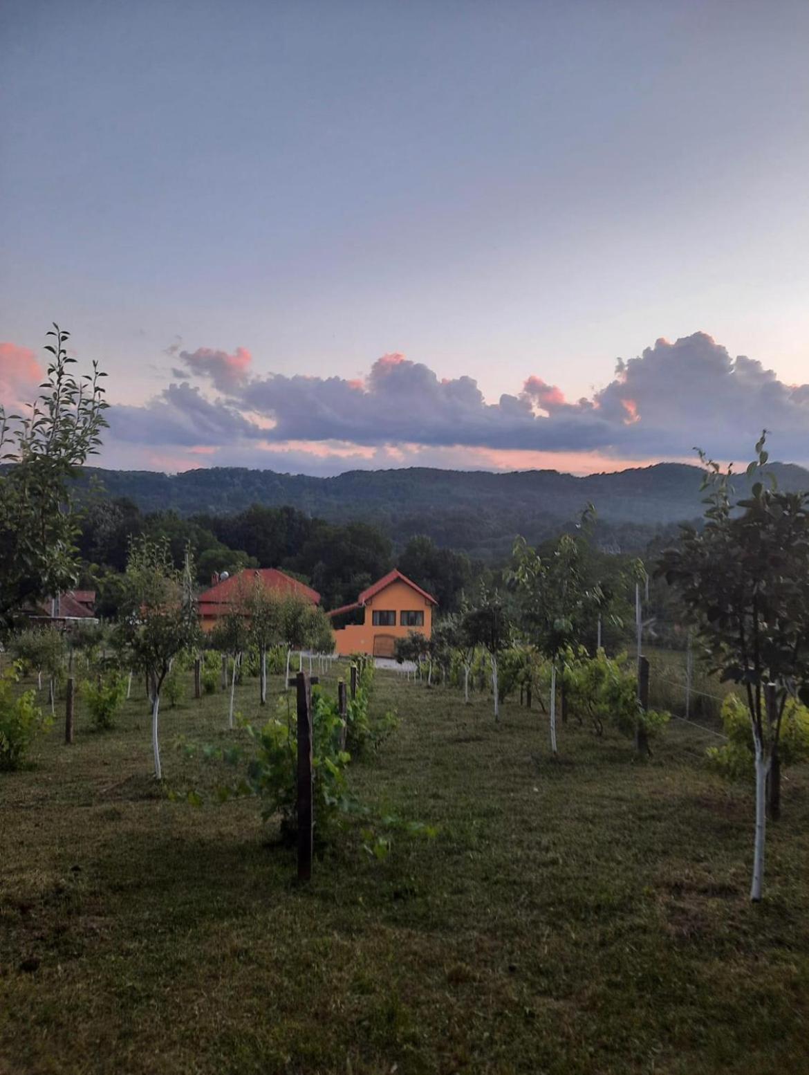 Casa Roșca