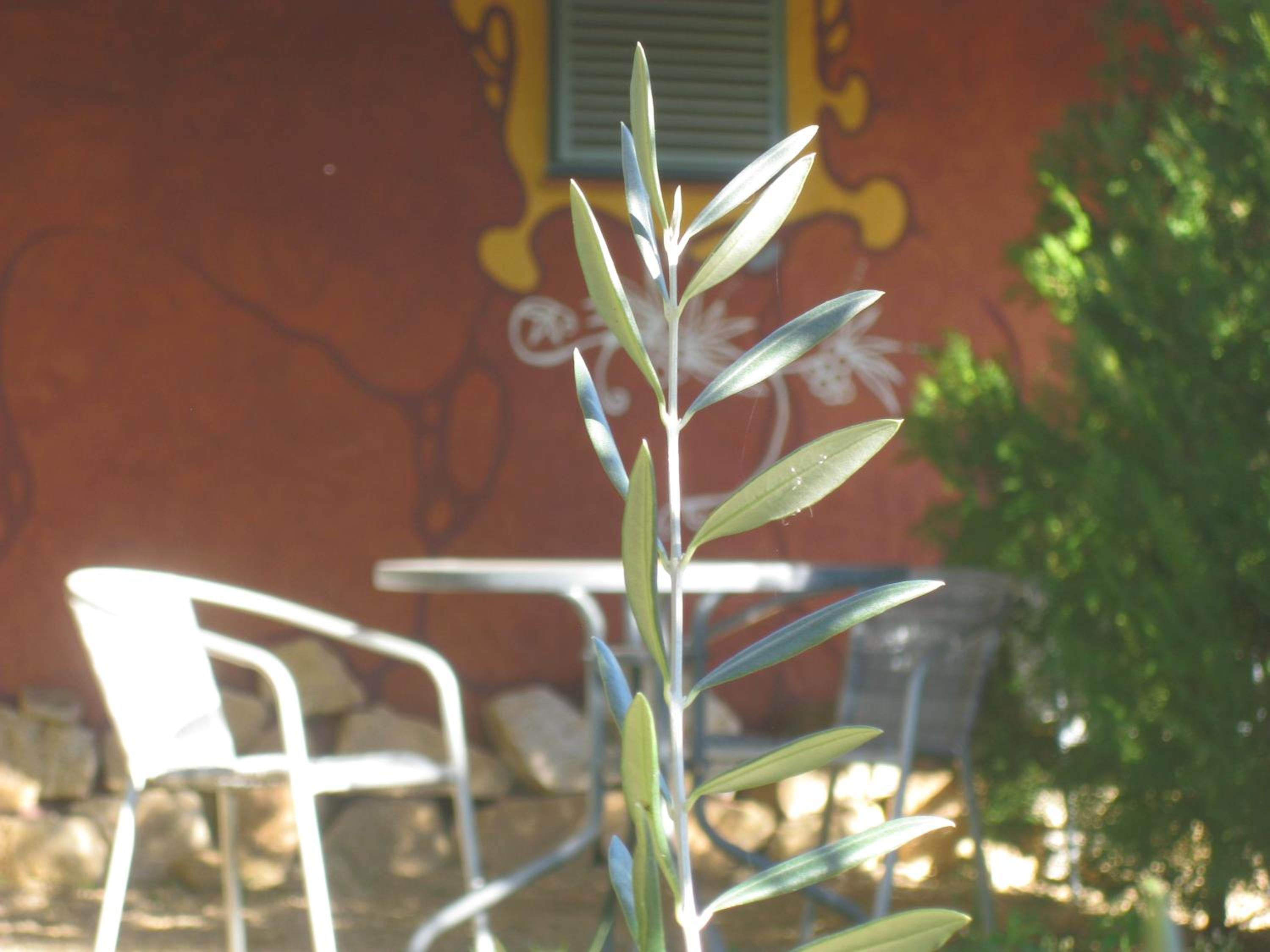 Photo 37