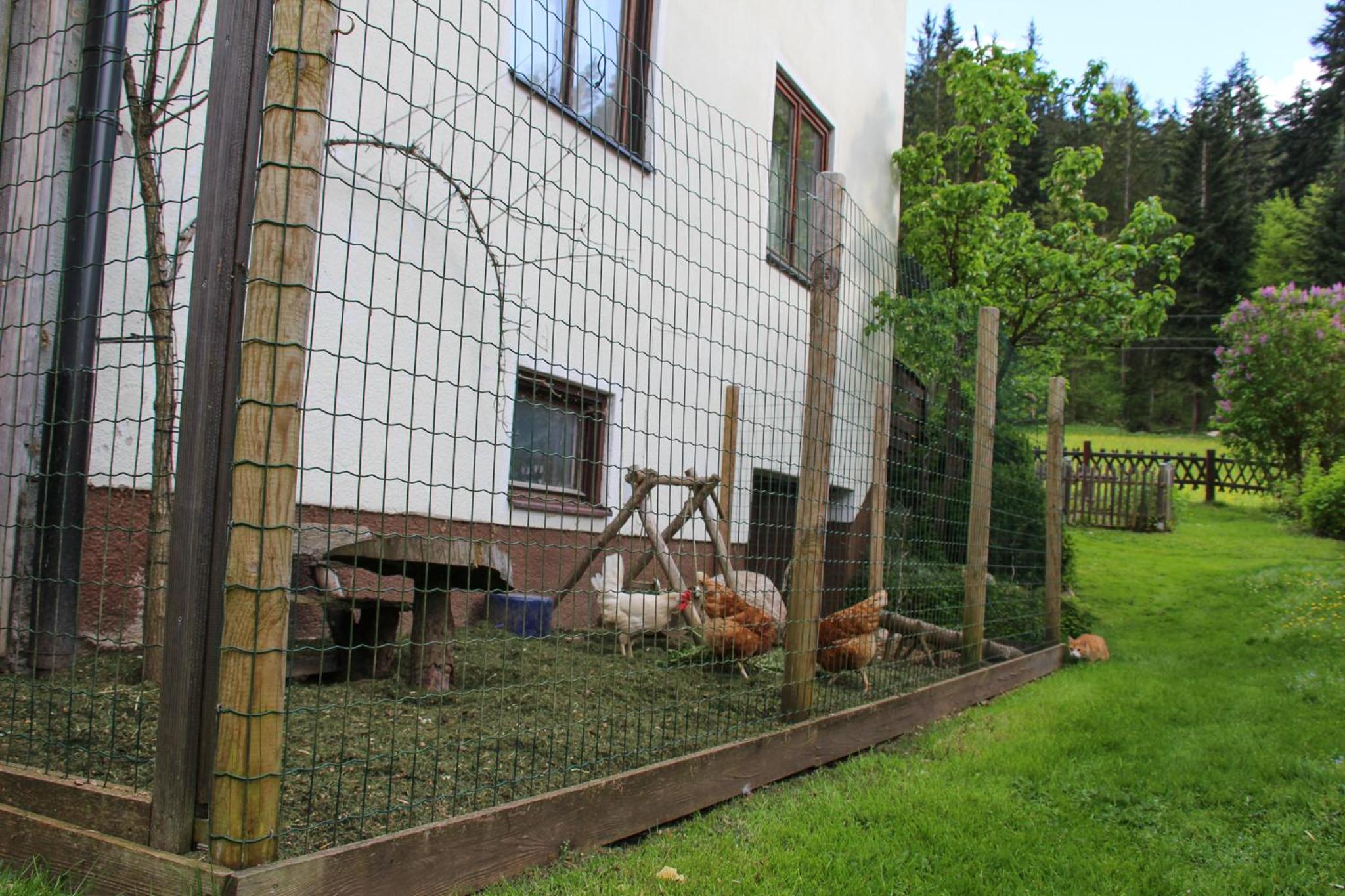 Frieda's Platzl