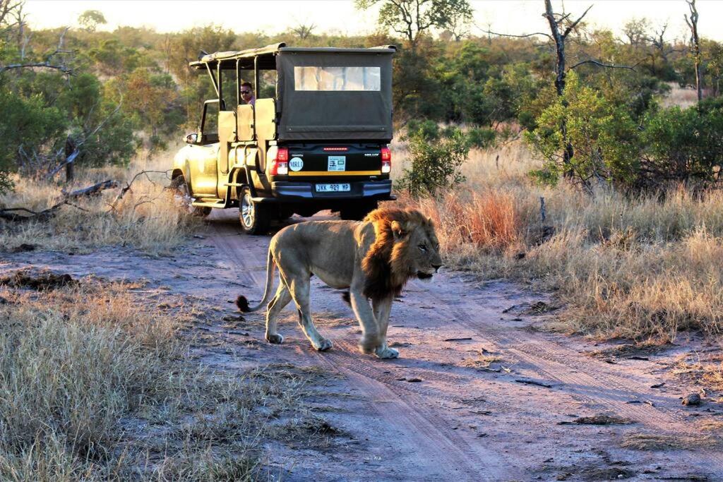 Ebony House - Kruger National Park view 3