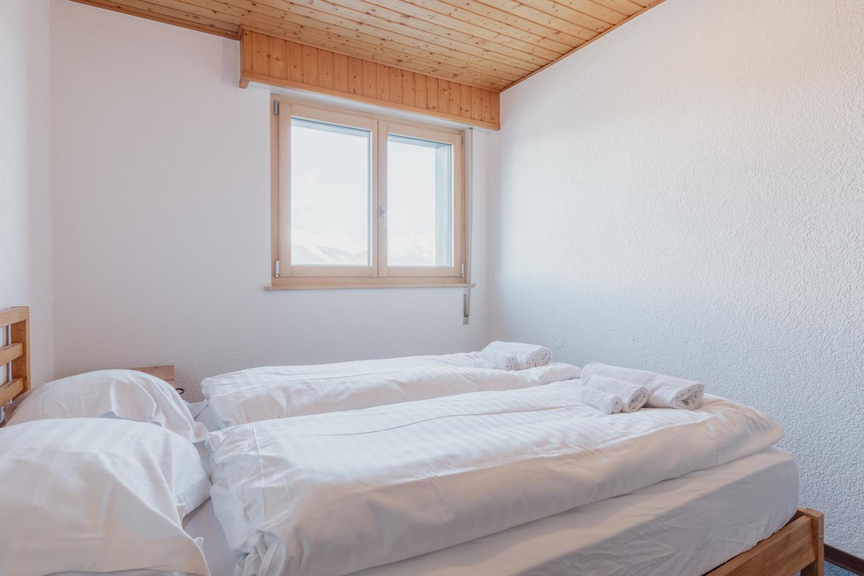 Logement spacieux et charmant