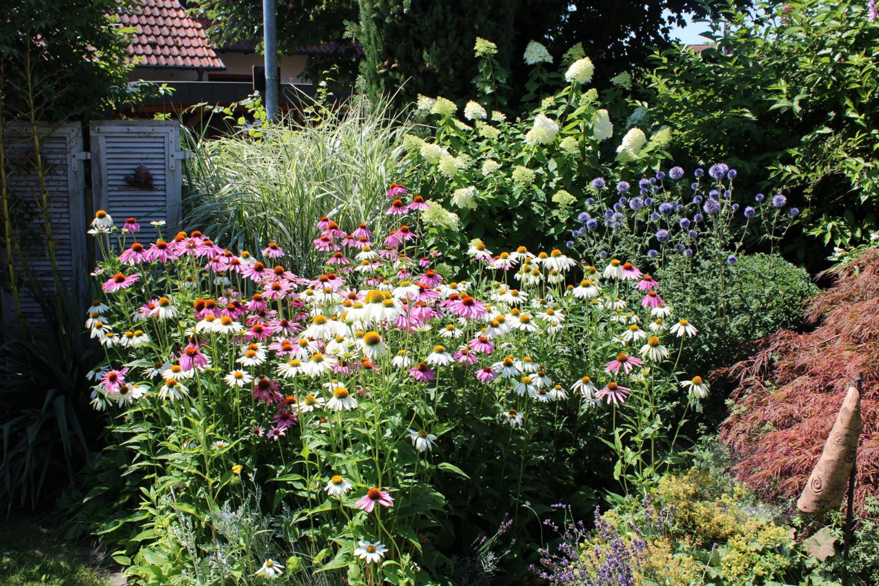 Apartment im Garten