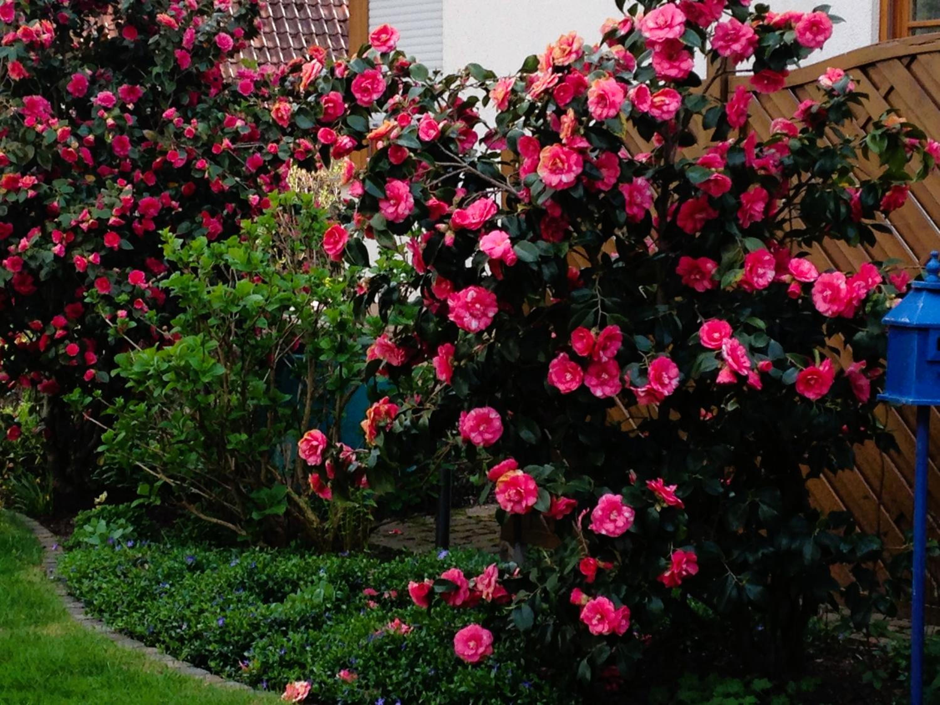 Apartment im Garten