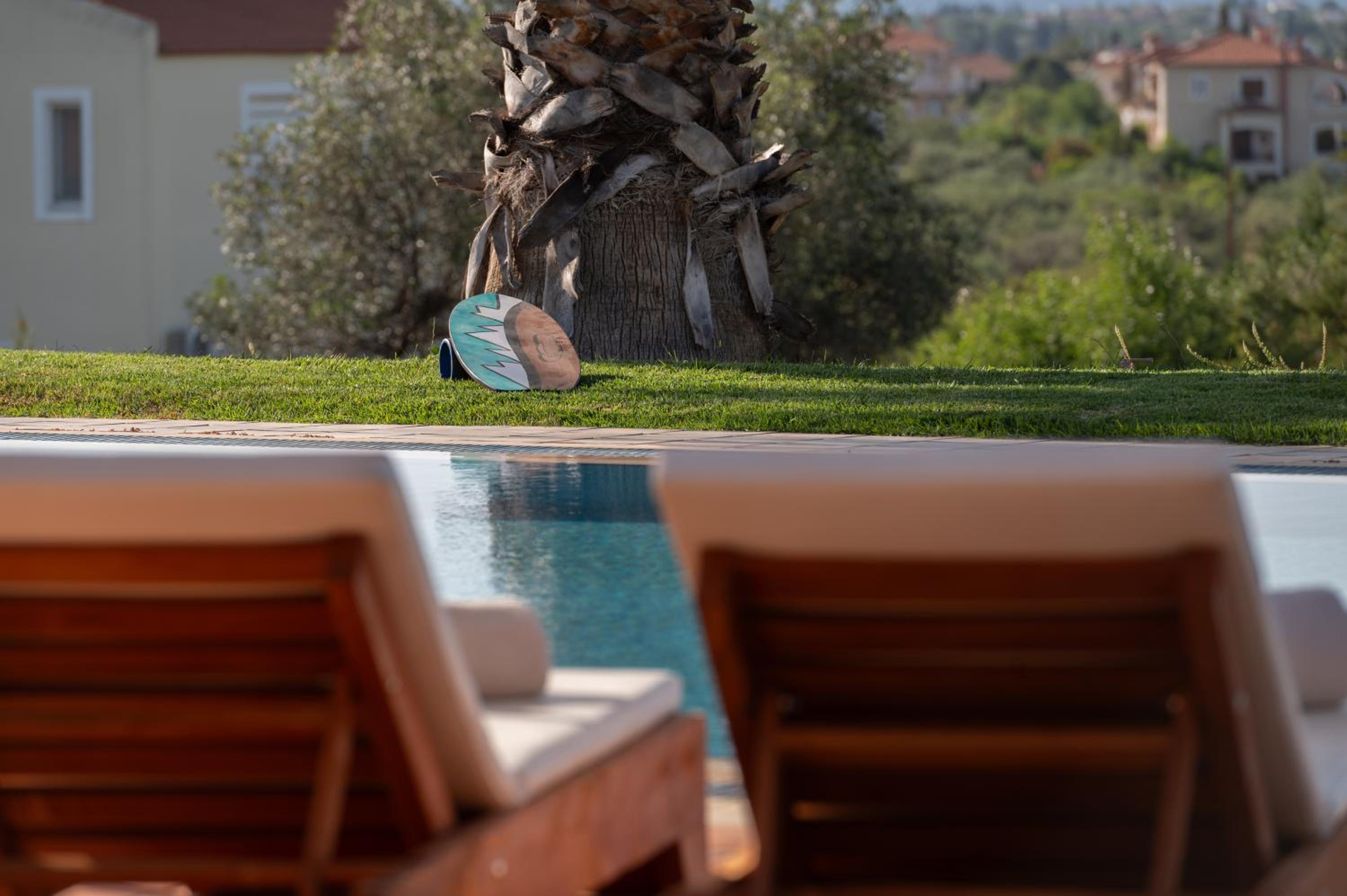 3 Palm Villa, photo 51