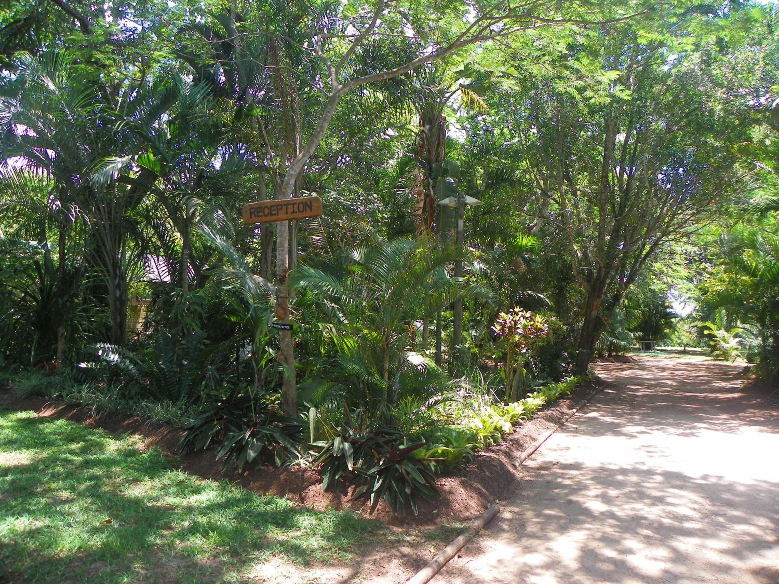 Photo 51