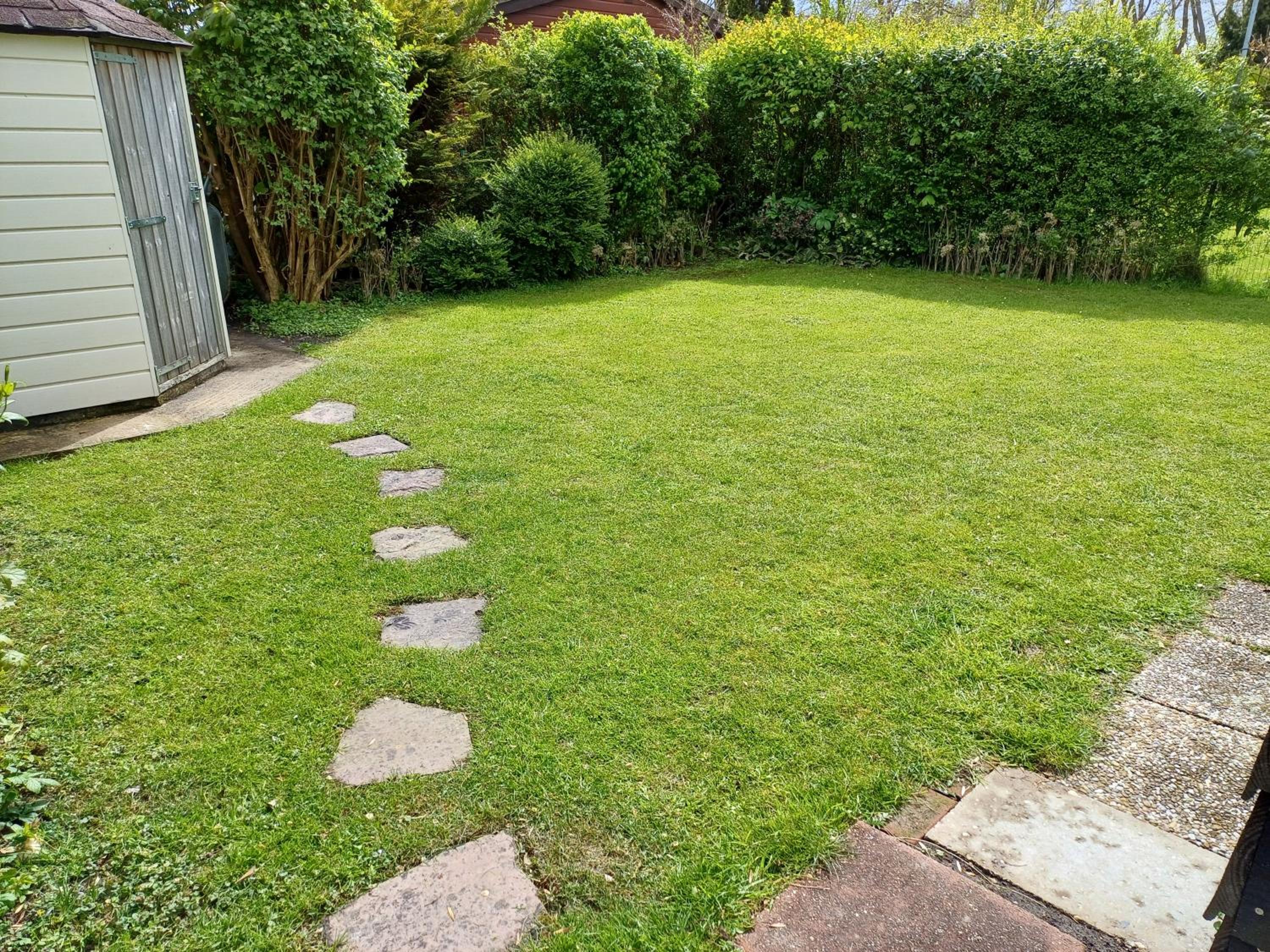 Vrije Vogels tuin met privacy