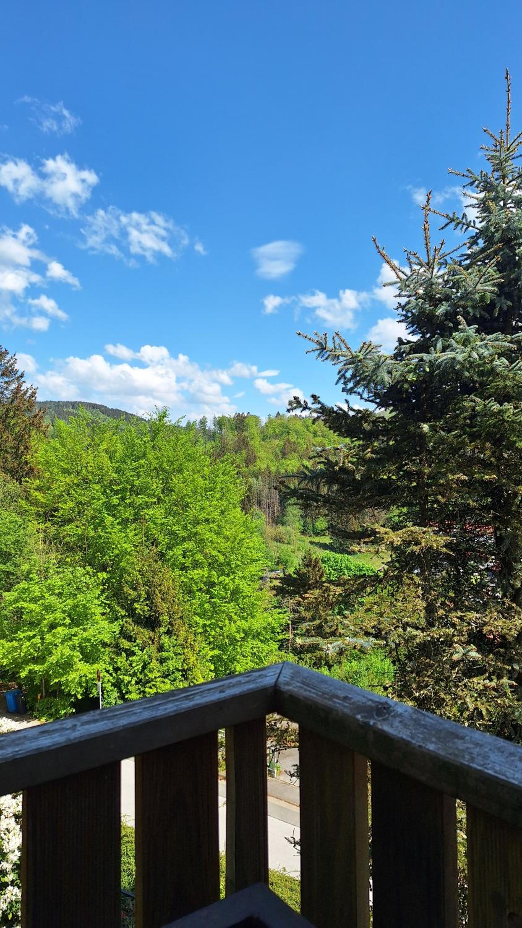 Haus Westharz Goslar