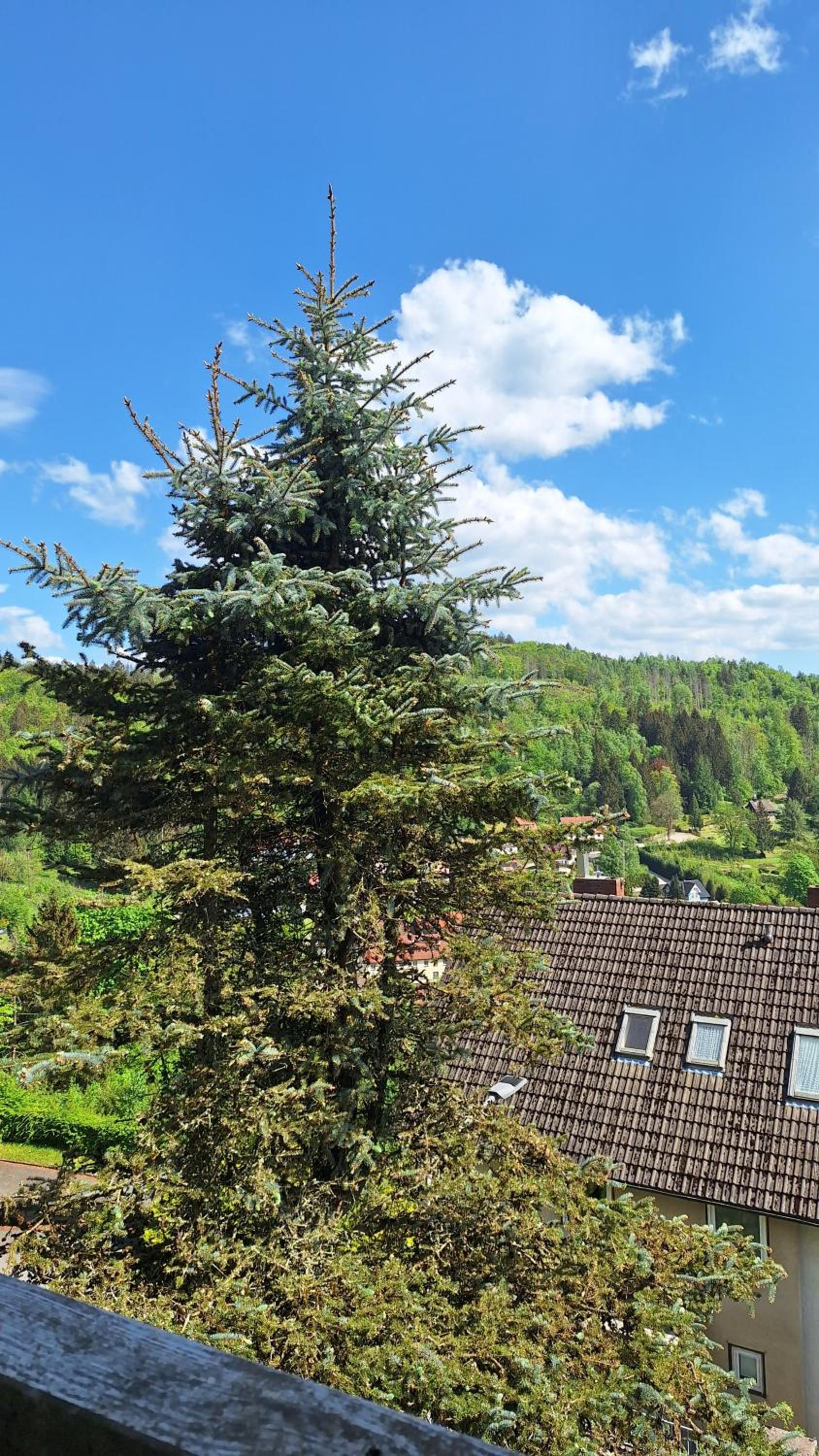 Haus Westharz Goslar