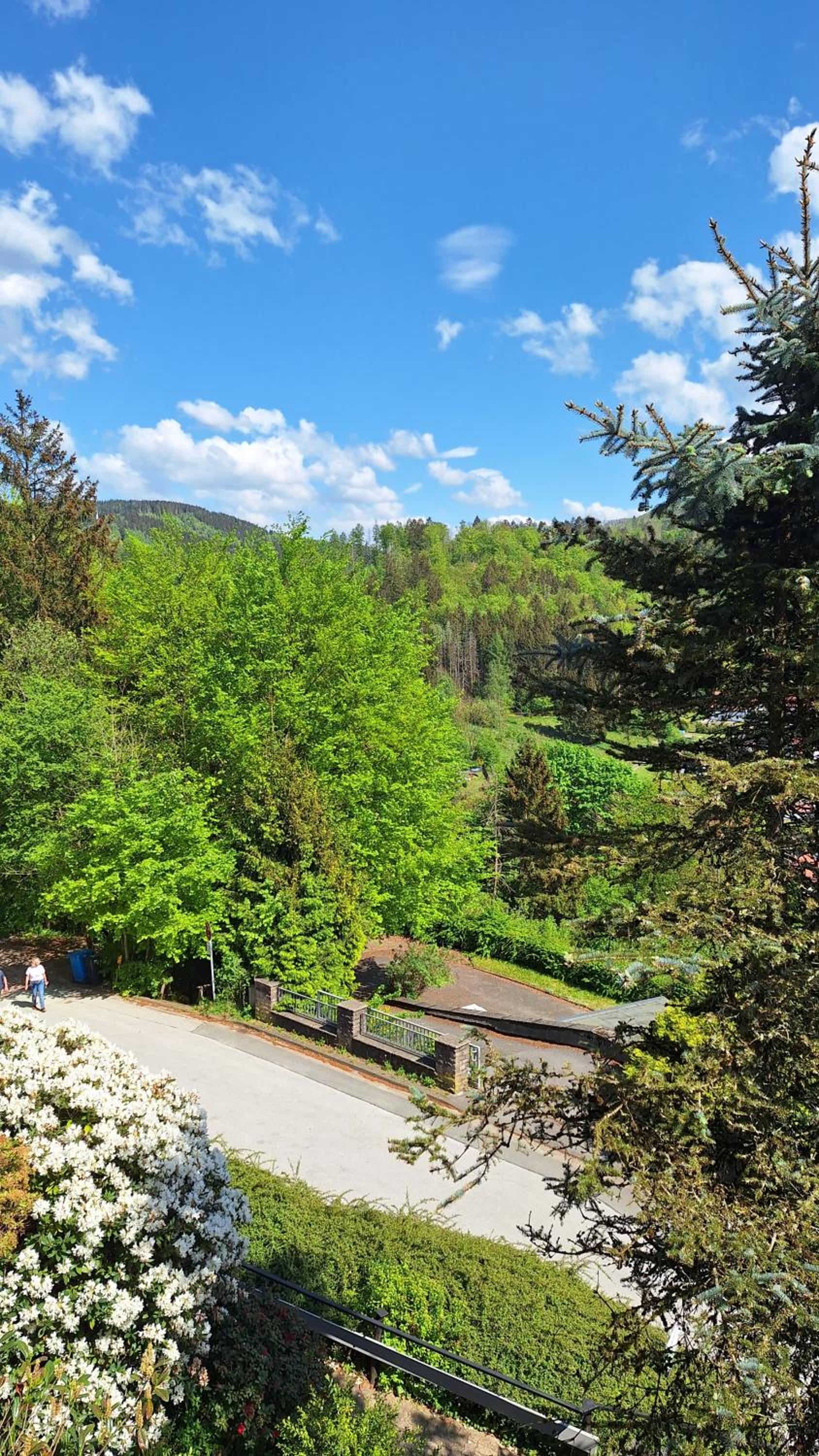 Haus Westharz Goslar