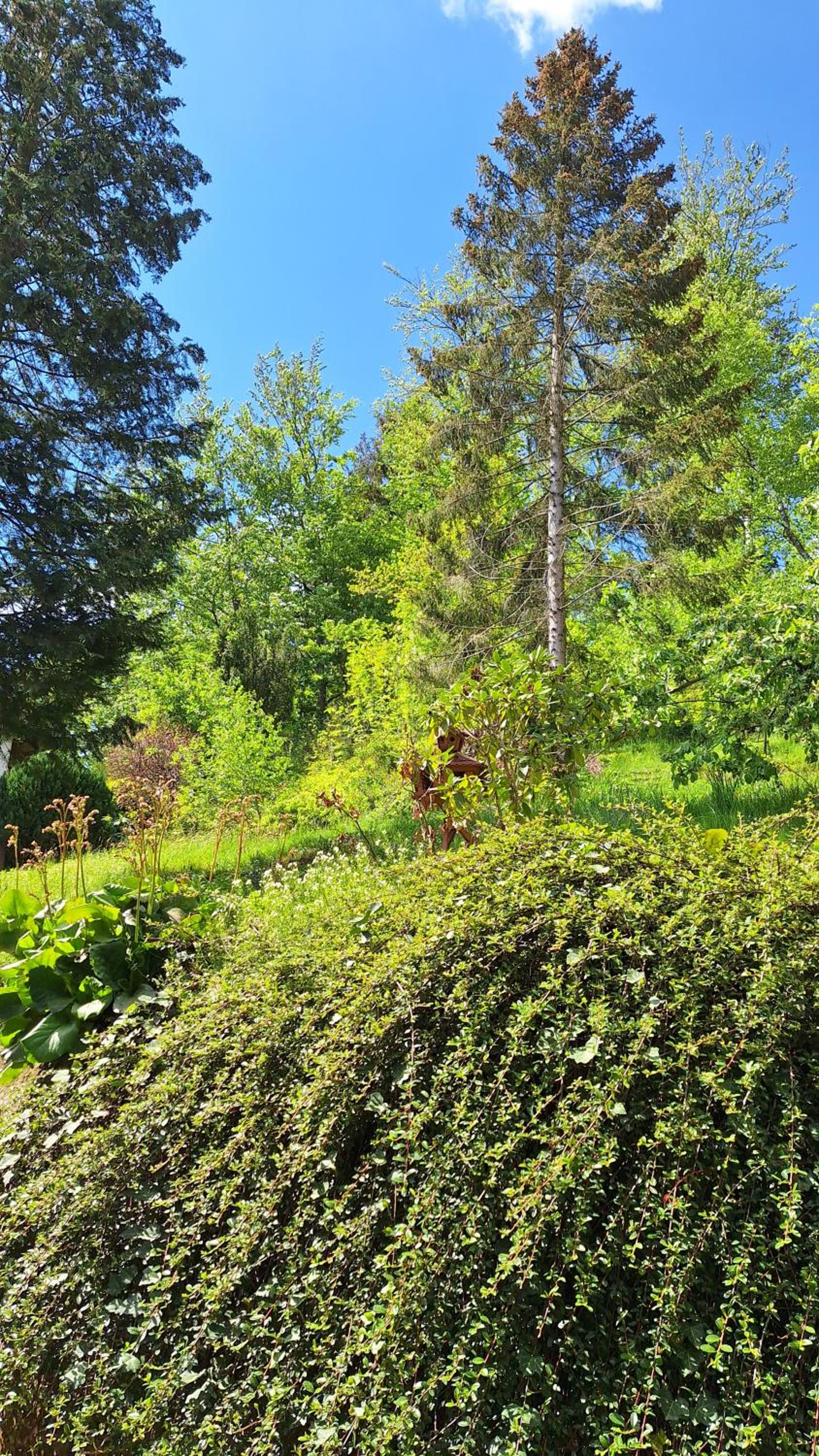 Haus Westharz Goslar