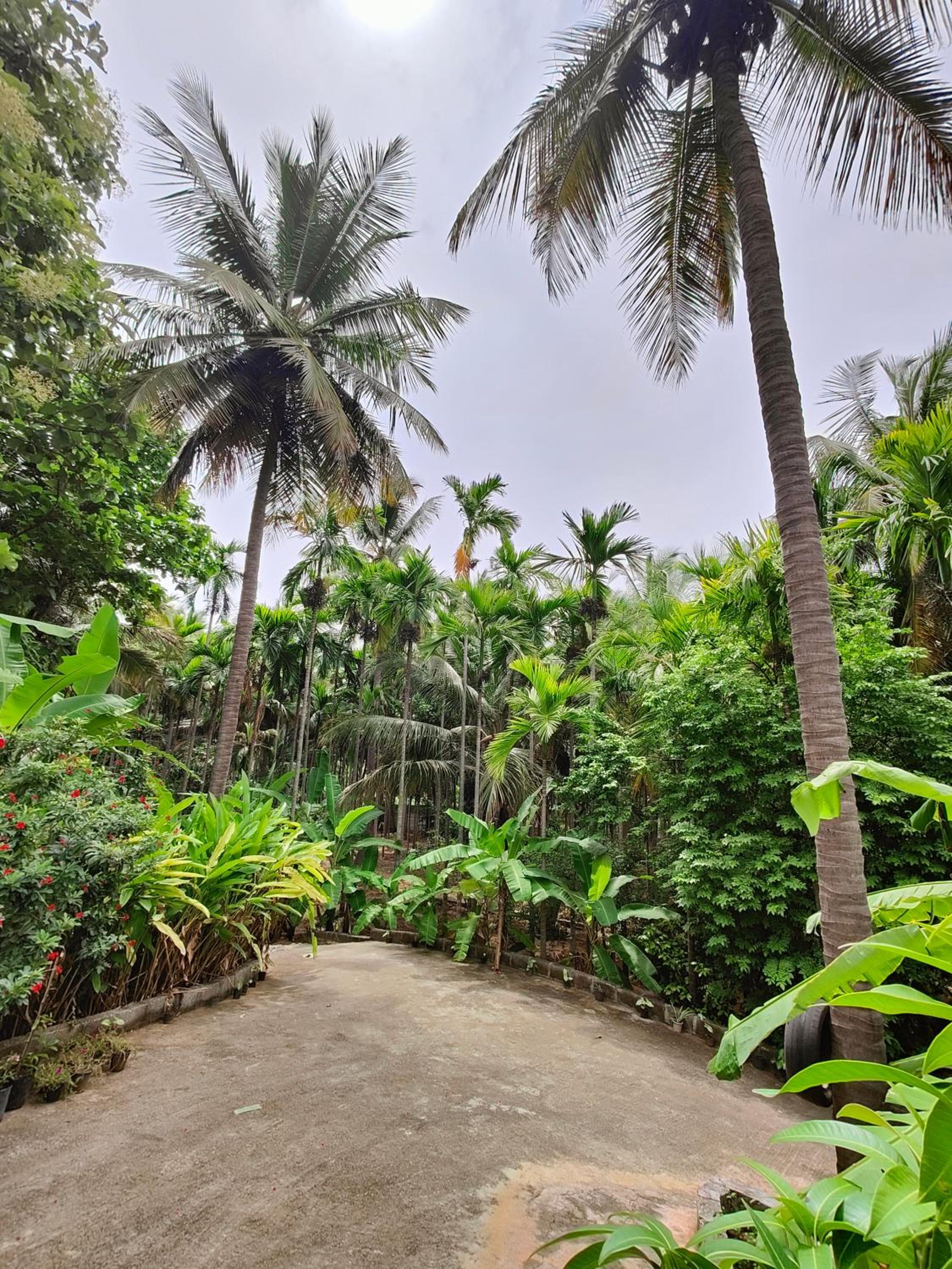Yellaki Farm Stay view 5