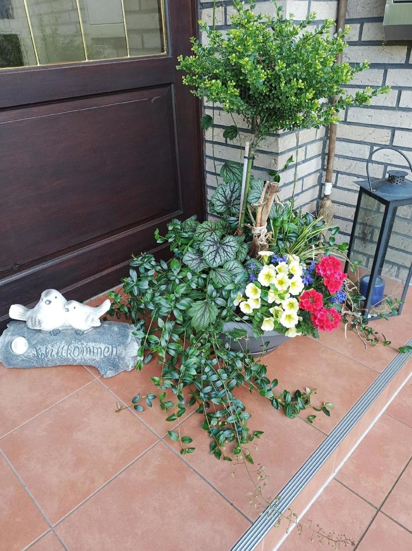 Ferienwohnung Zwei Finken In Wiesmoor