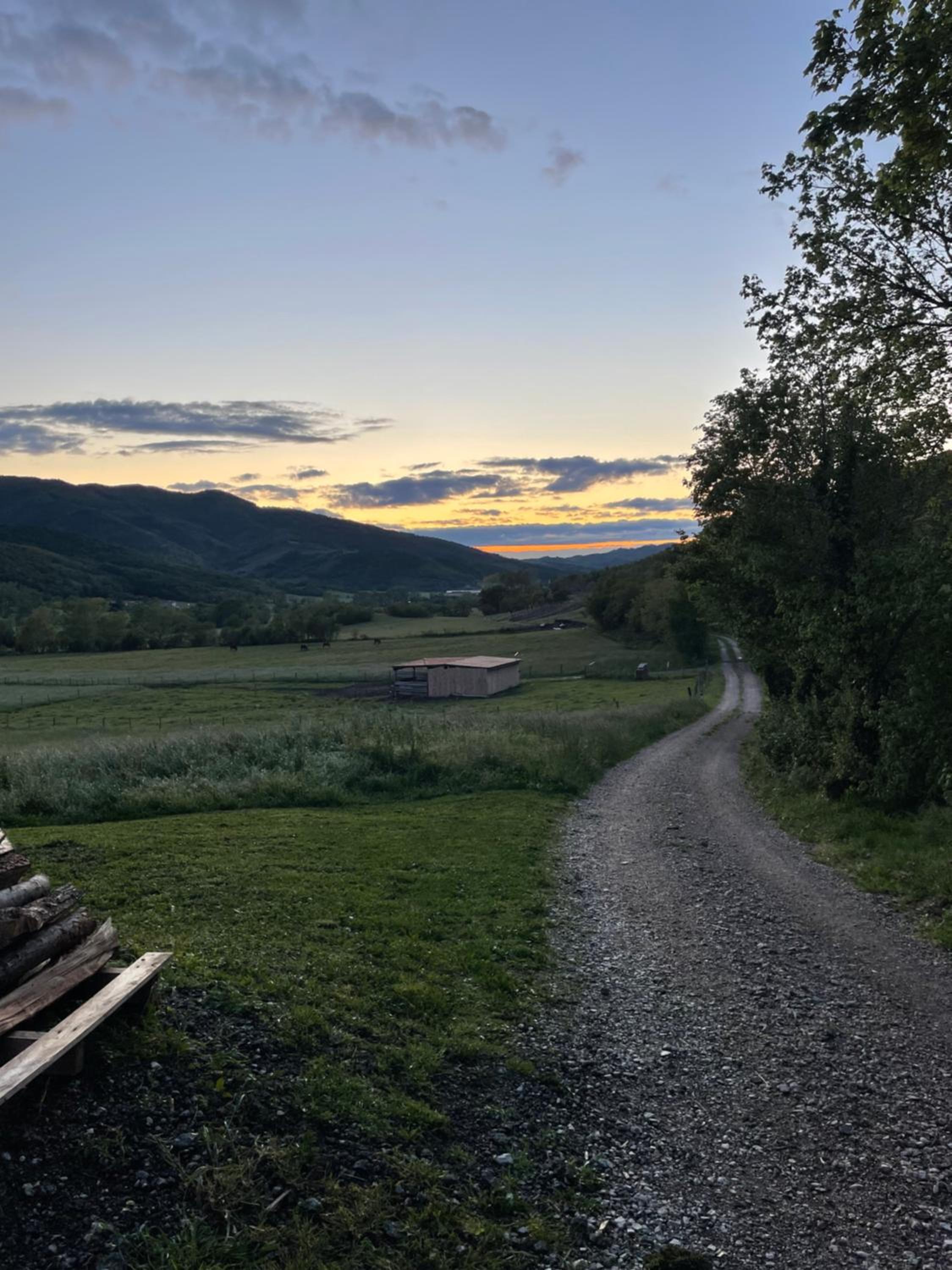 Homestead - Domačija - Nabergoj view 4