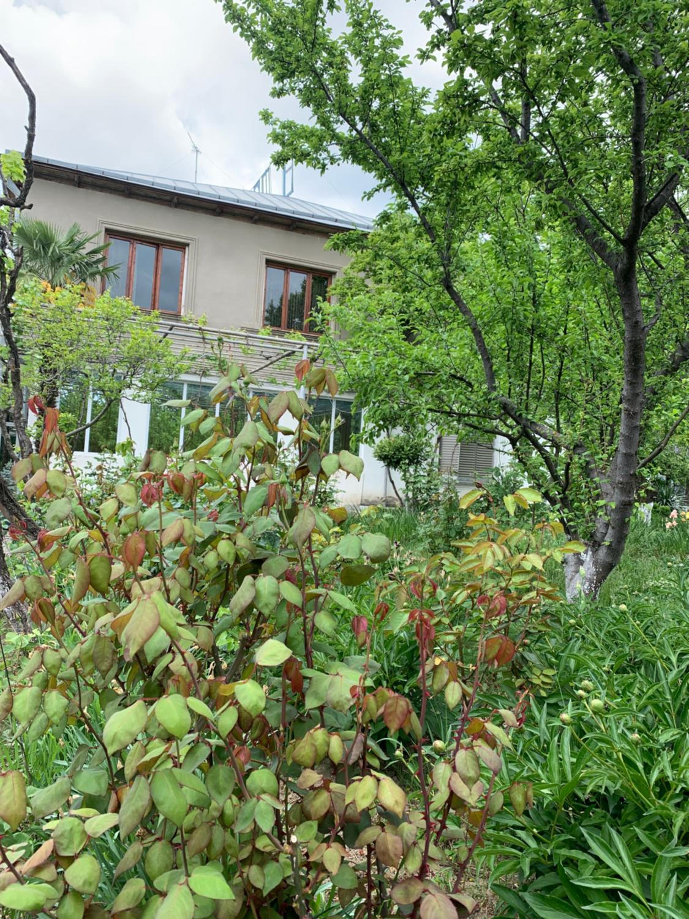 Hotel Villa DavidL view 5