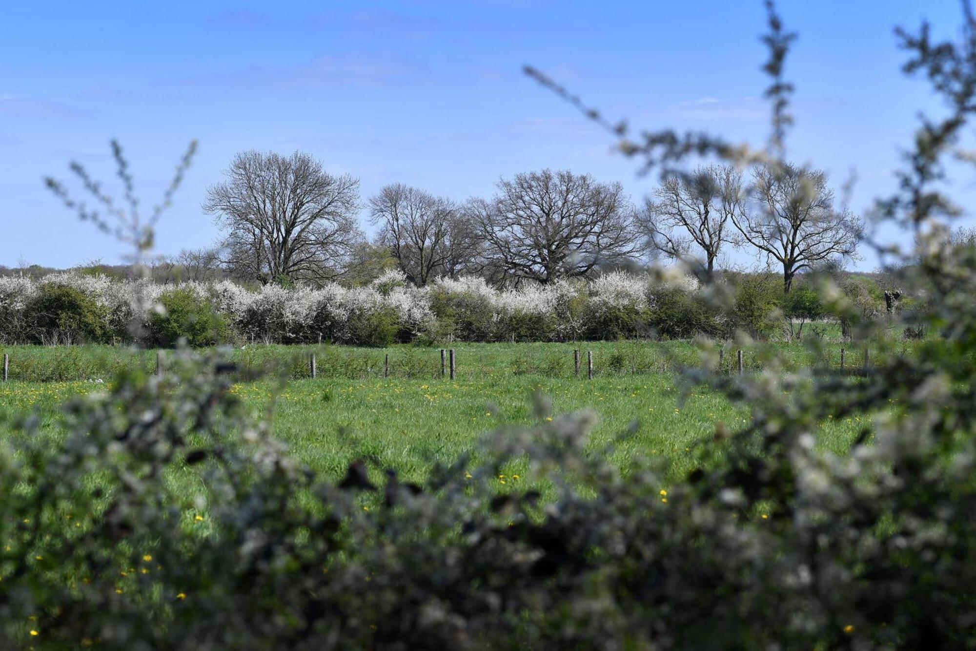 Langs De Maas, photo 26