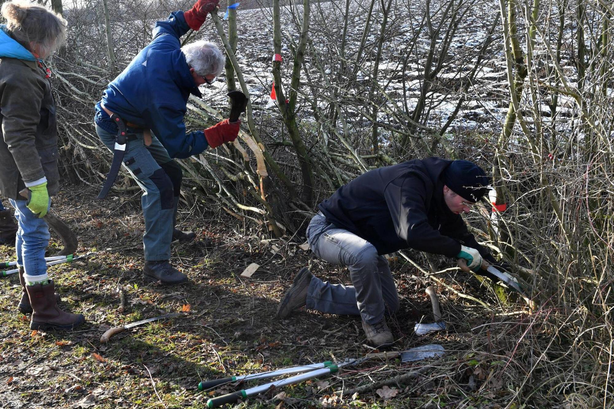 Langs De Maas, photo 17