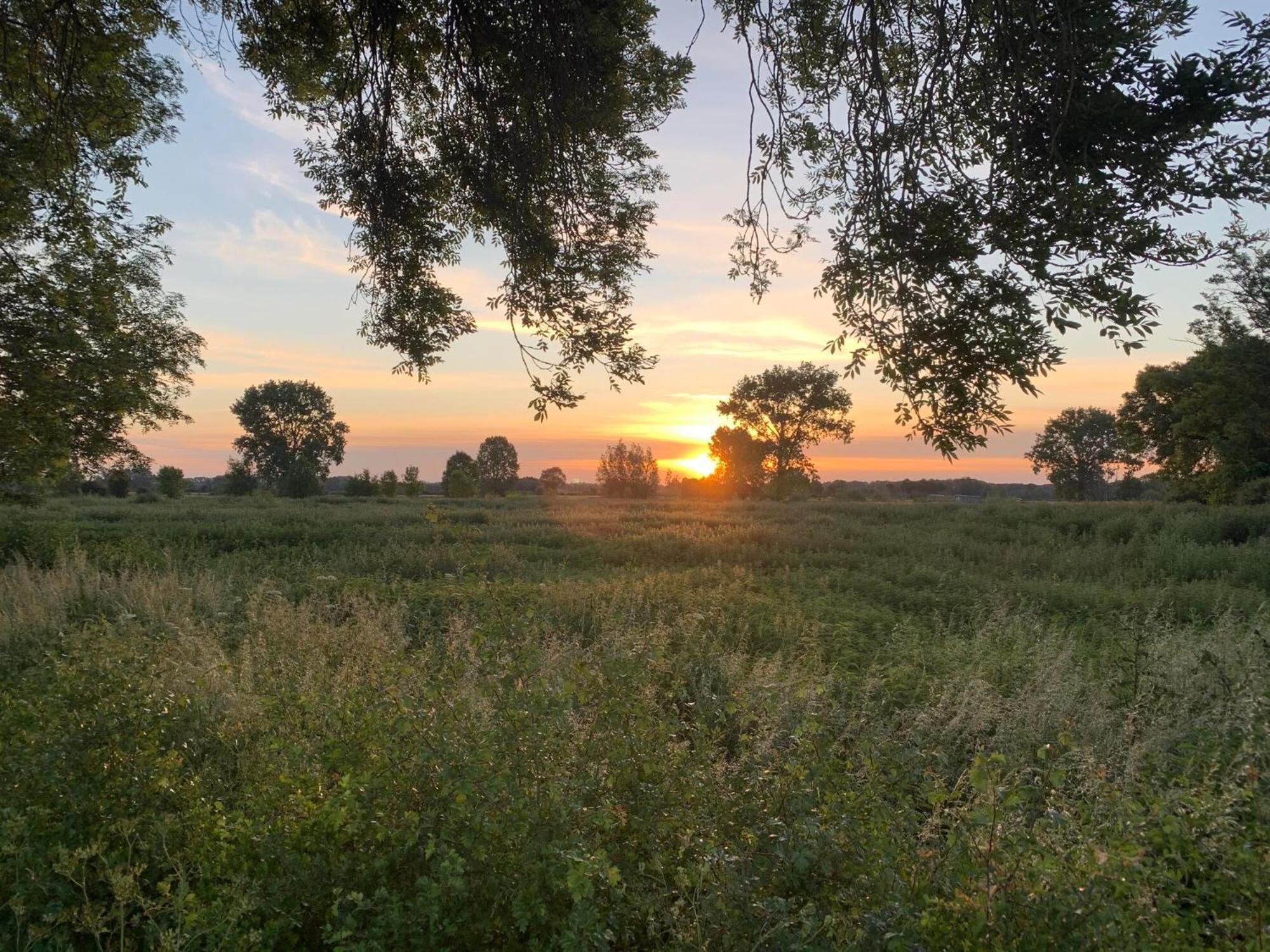 Langs De Maas, photo 24