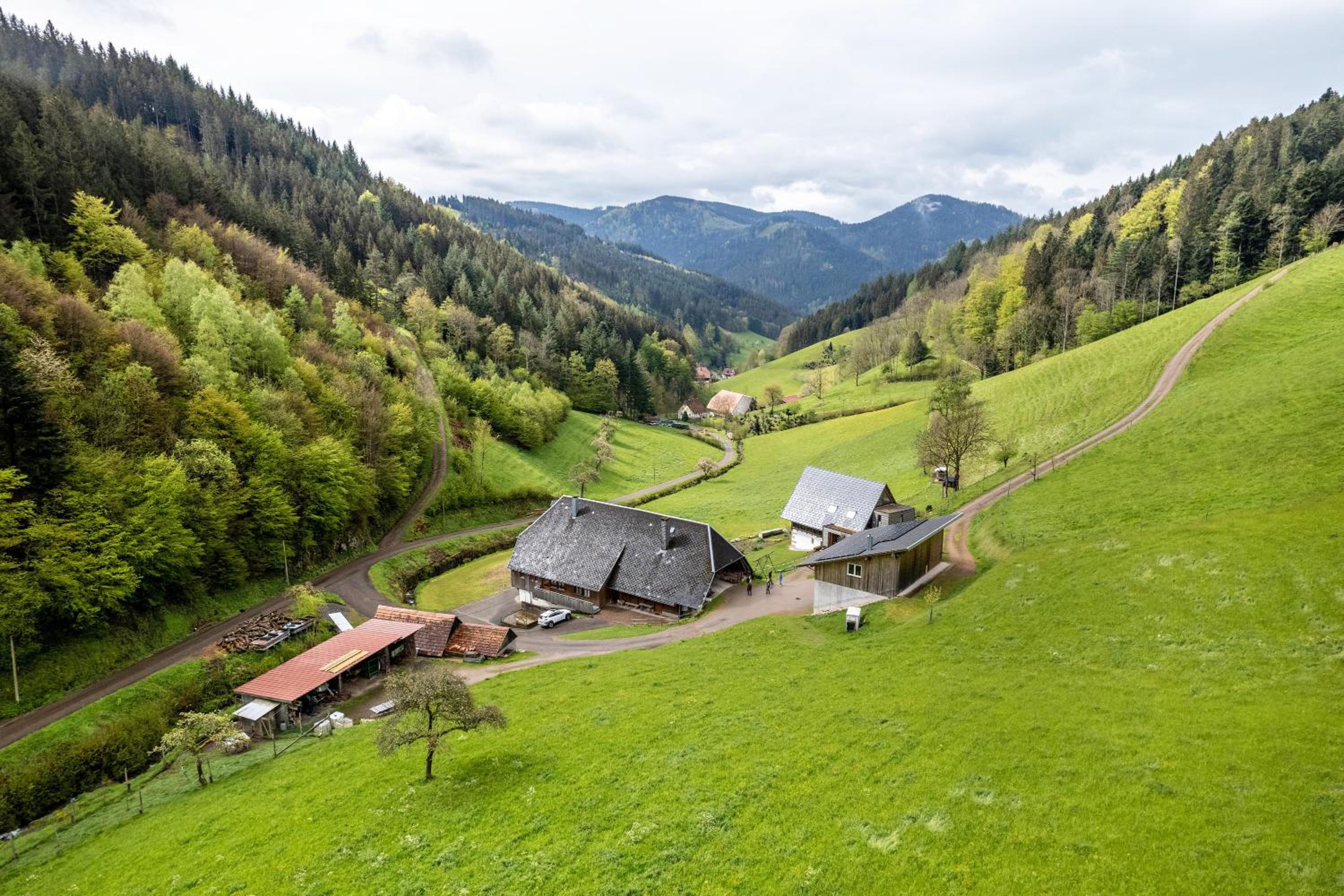 Ferienwohnung Metzgerbauernhof
