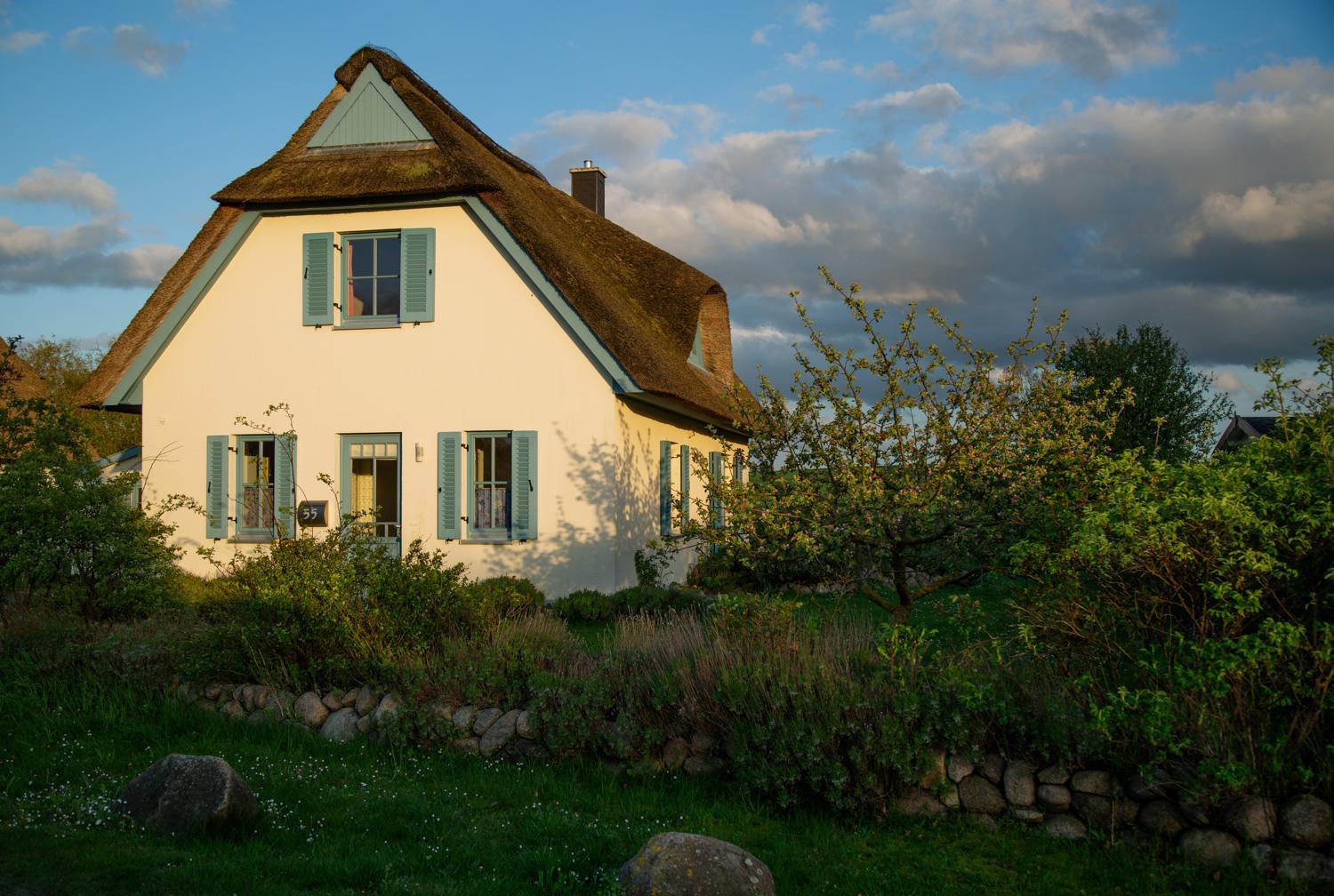 Lavendel