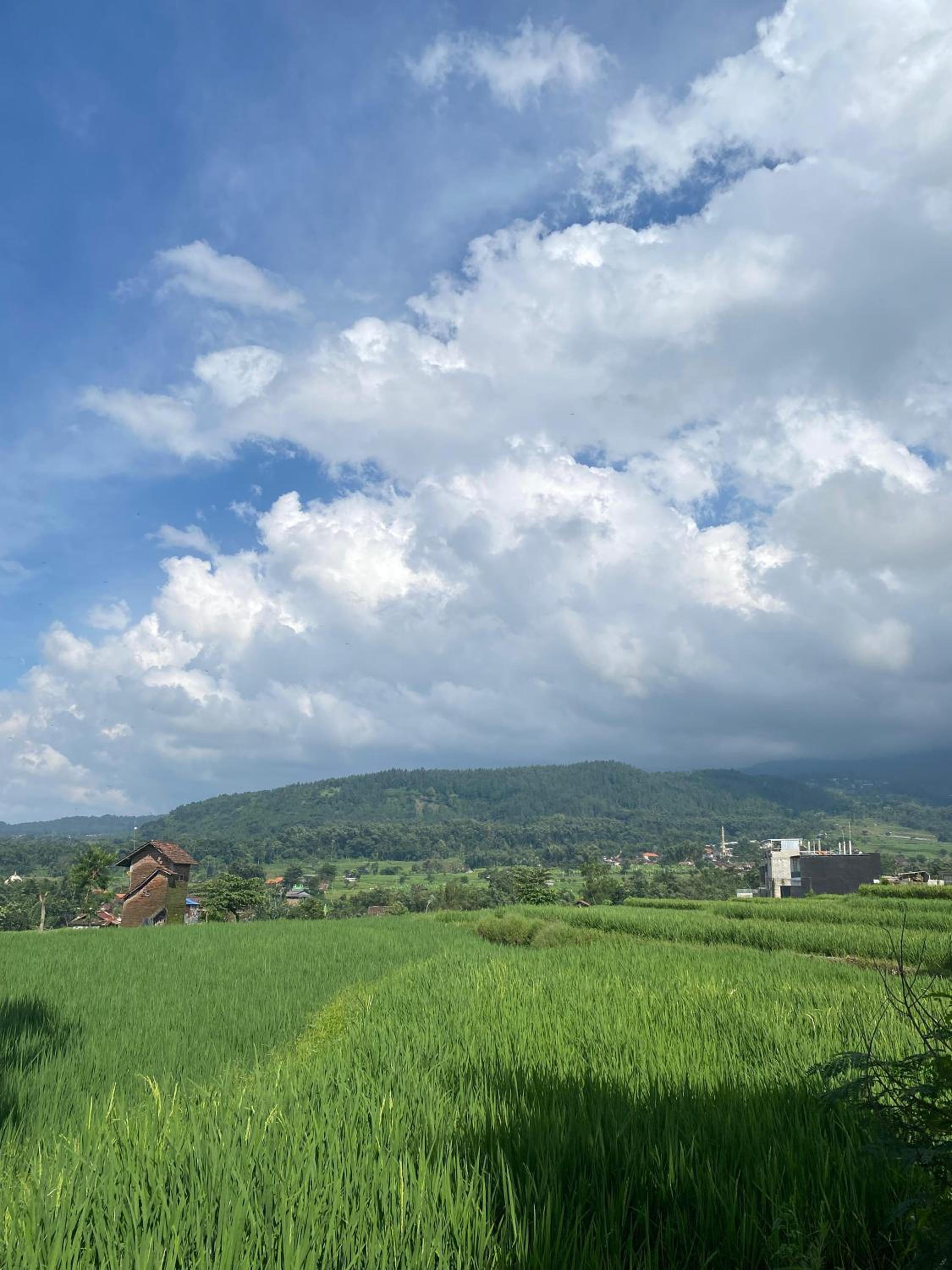 Griya Indah Homestay