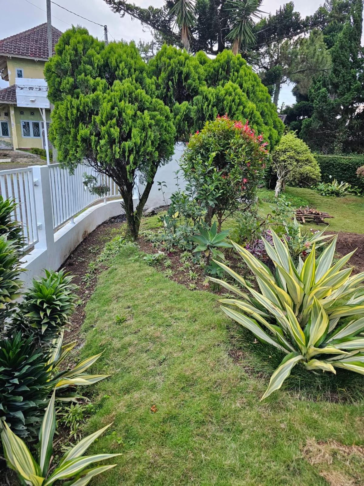 Photo 15